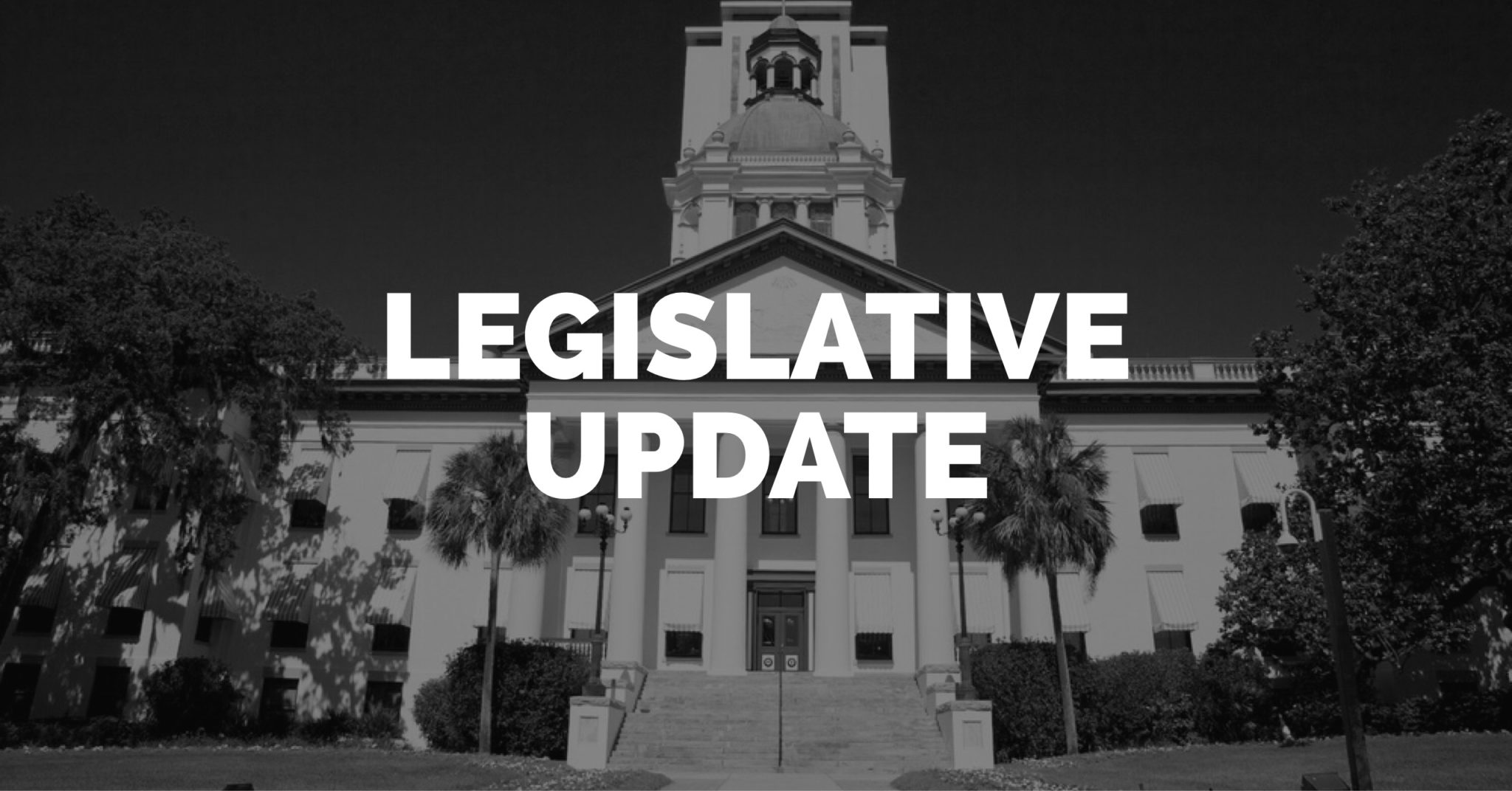 Changes To Florida Laws