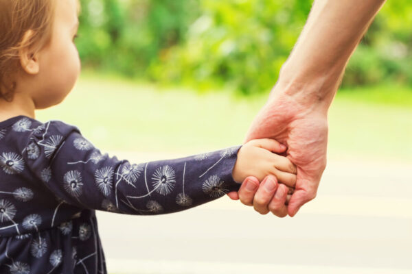 divorce lawyer Clearwater, FL