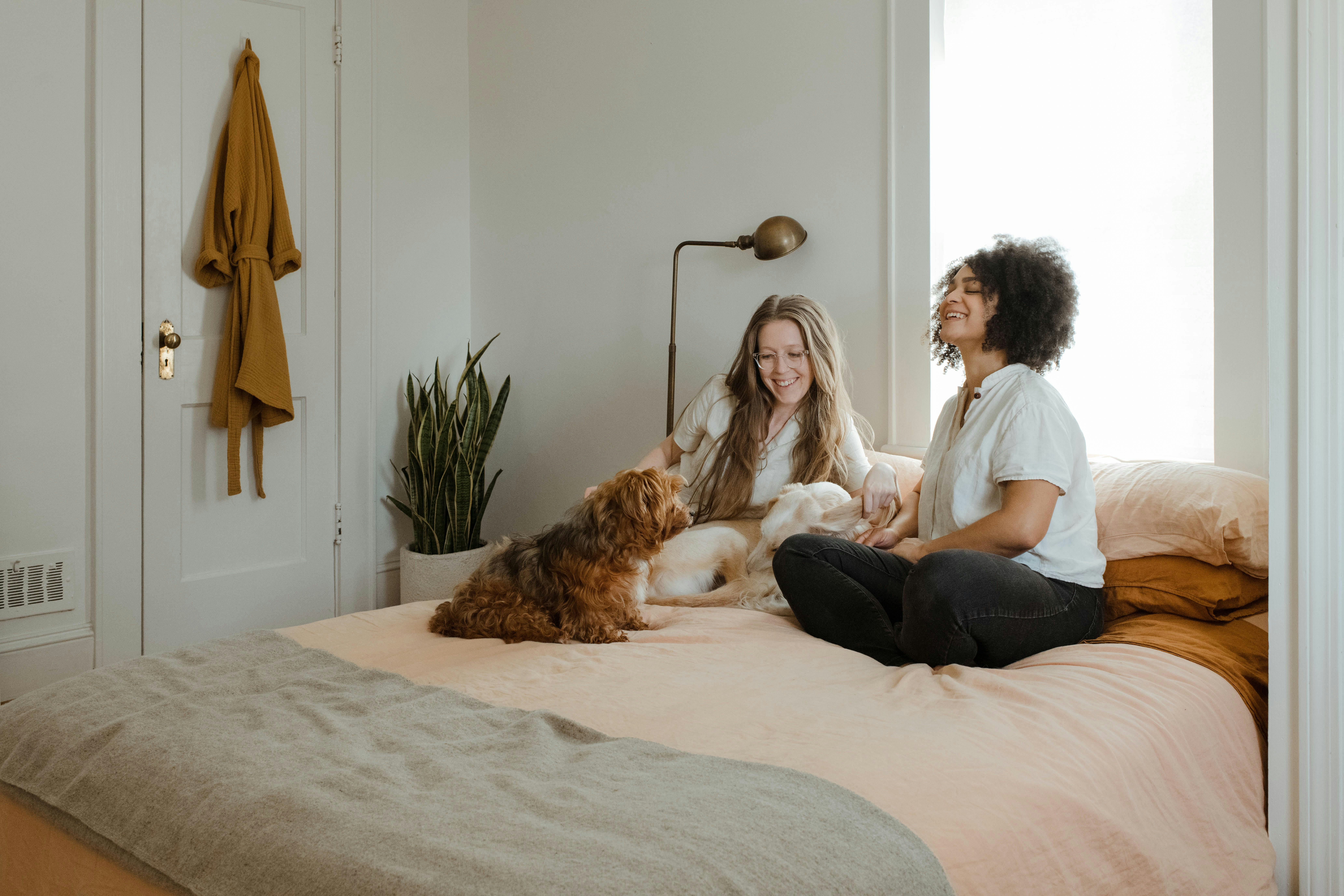 Navigating the Prenup Process: A Step-by-Step Guide for Orlando Couples