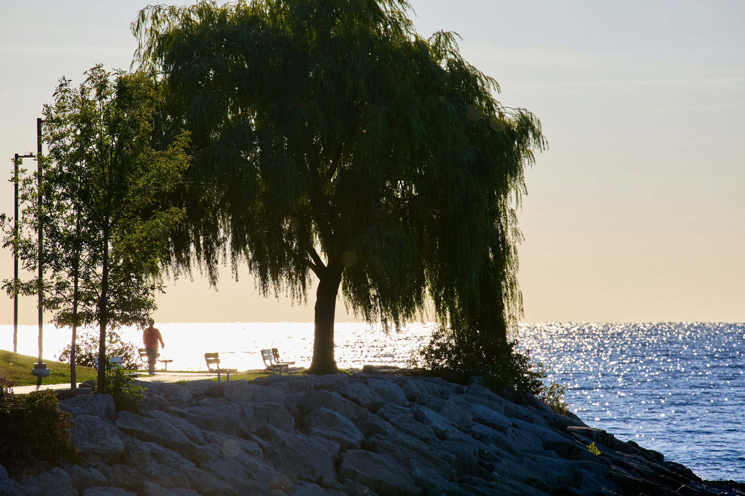 The Role of Divorce Coaches and Counselors: A Key Support System for Tampa Divorcing Spouses