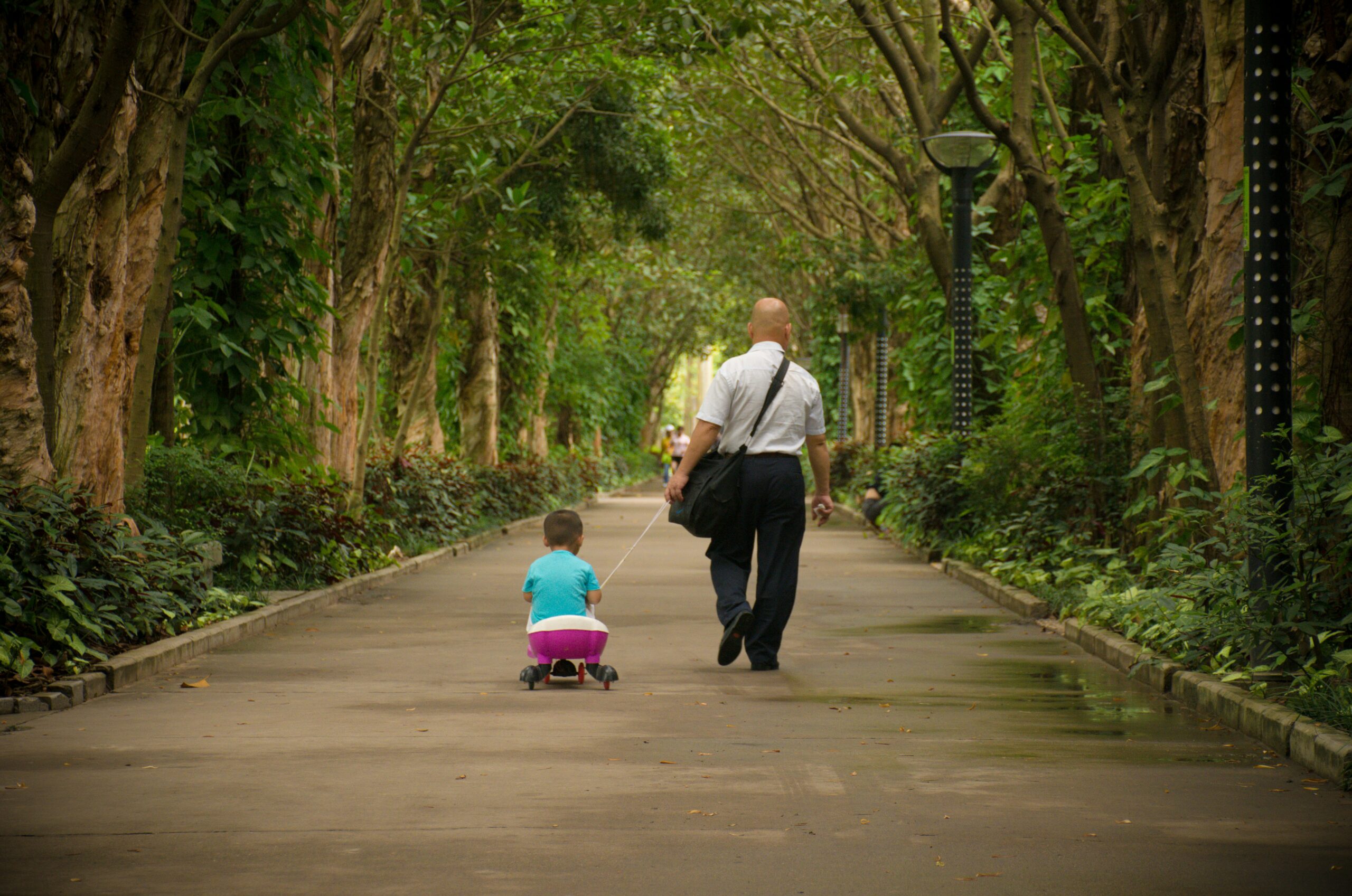 Modern Love and Legal Protection: The Role of Prenups in Orlando Relationships