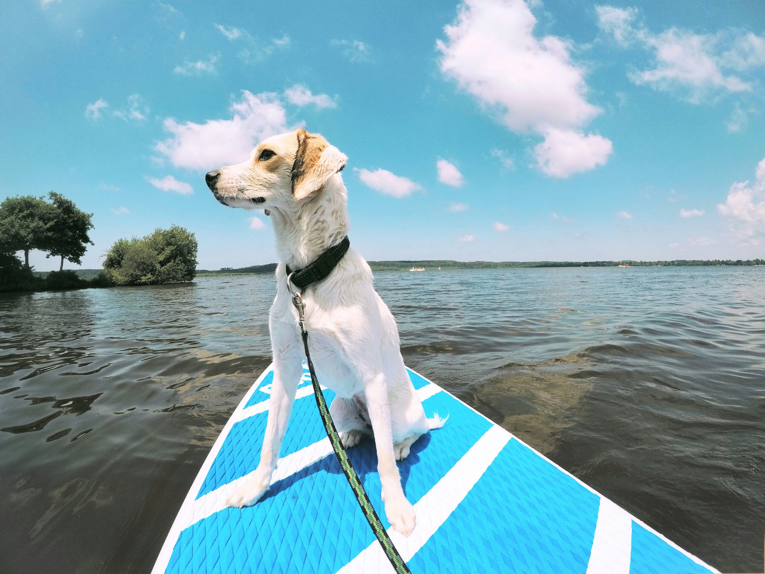 Inherited Wealth and Divorce in Florida: Can It Be Protected?