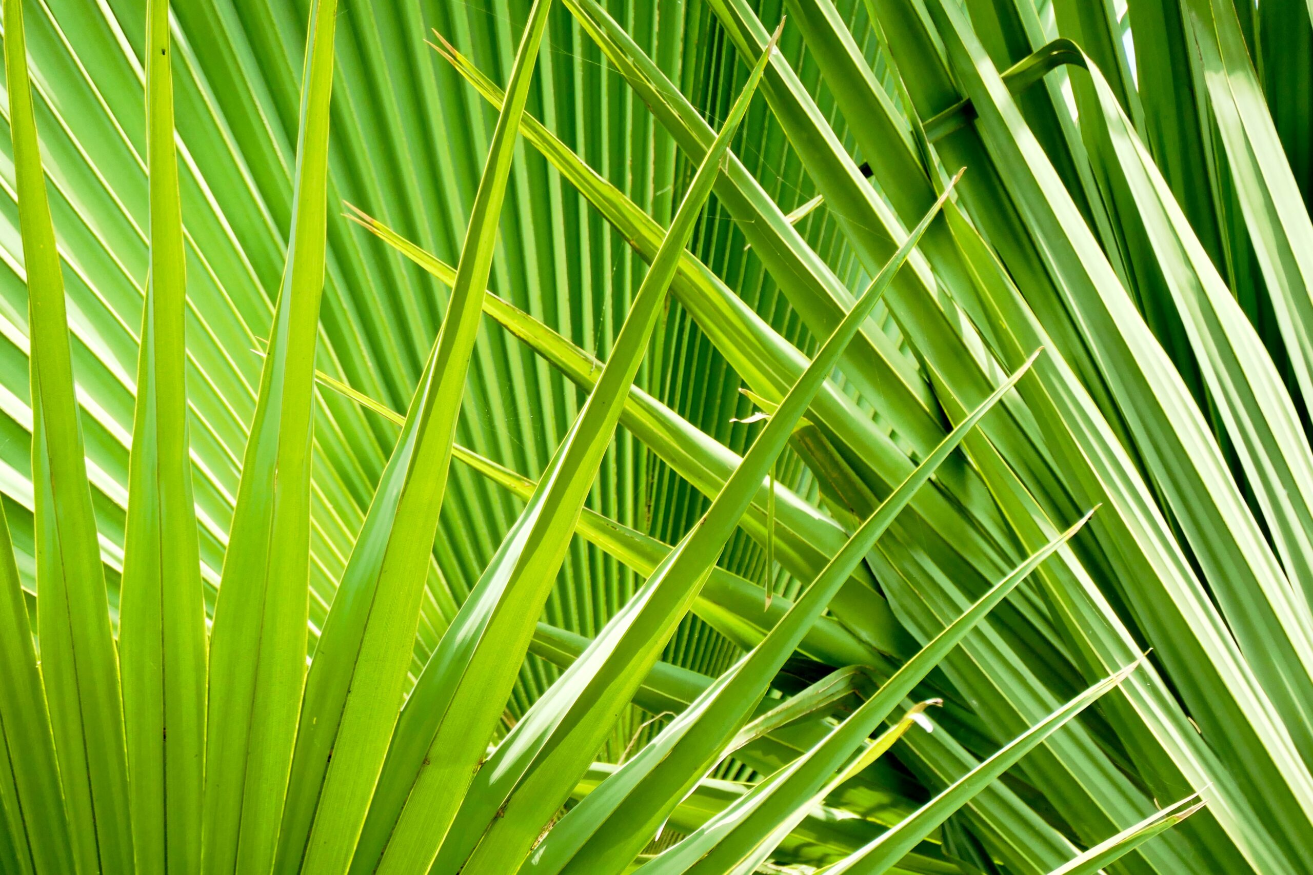 How Hidden Assets Can Impact Your Florida Divorce Settlement