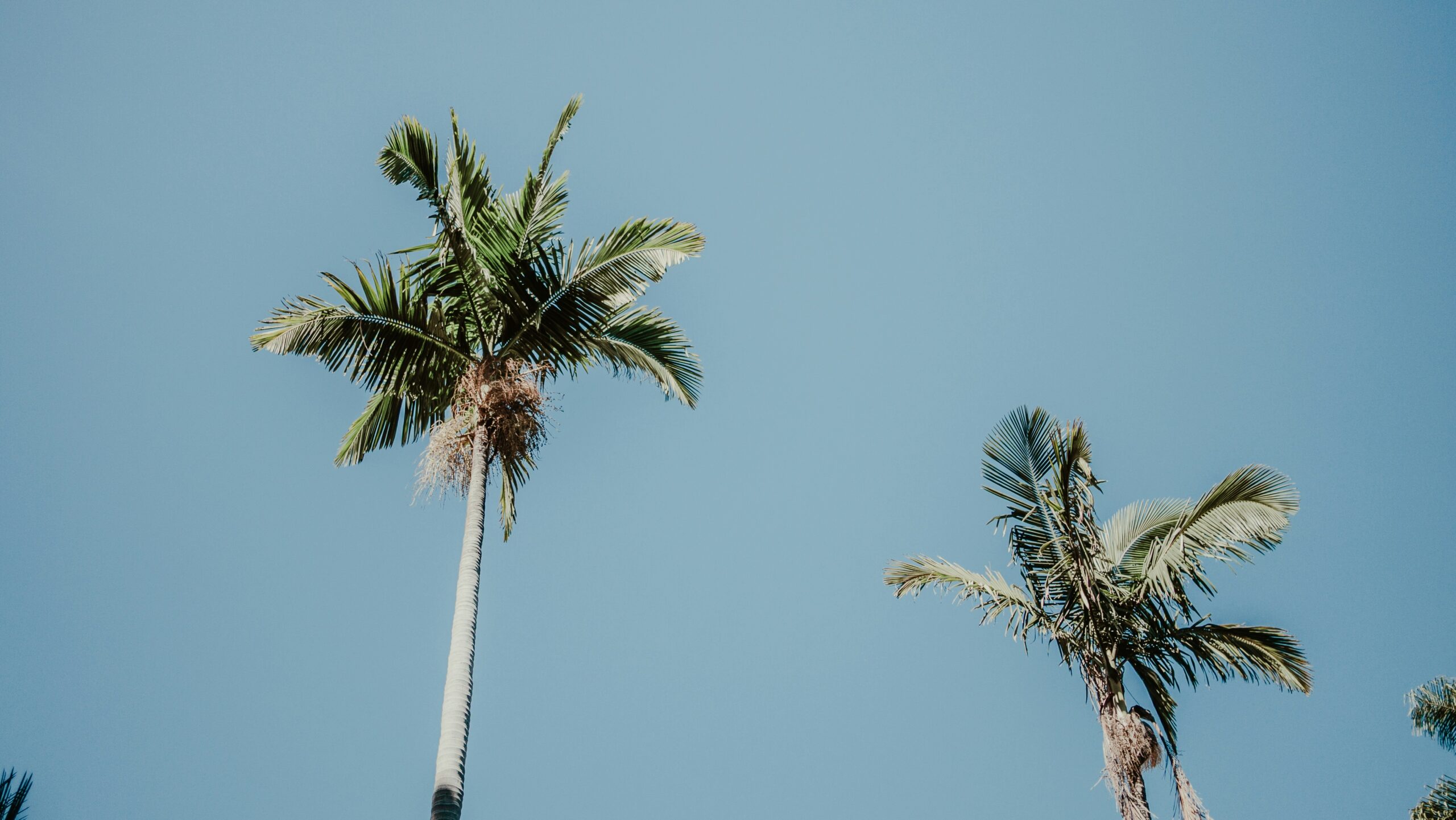 Establishing Paternity in Florida: Legal Framework, Procedures, and Parental Rights