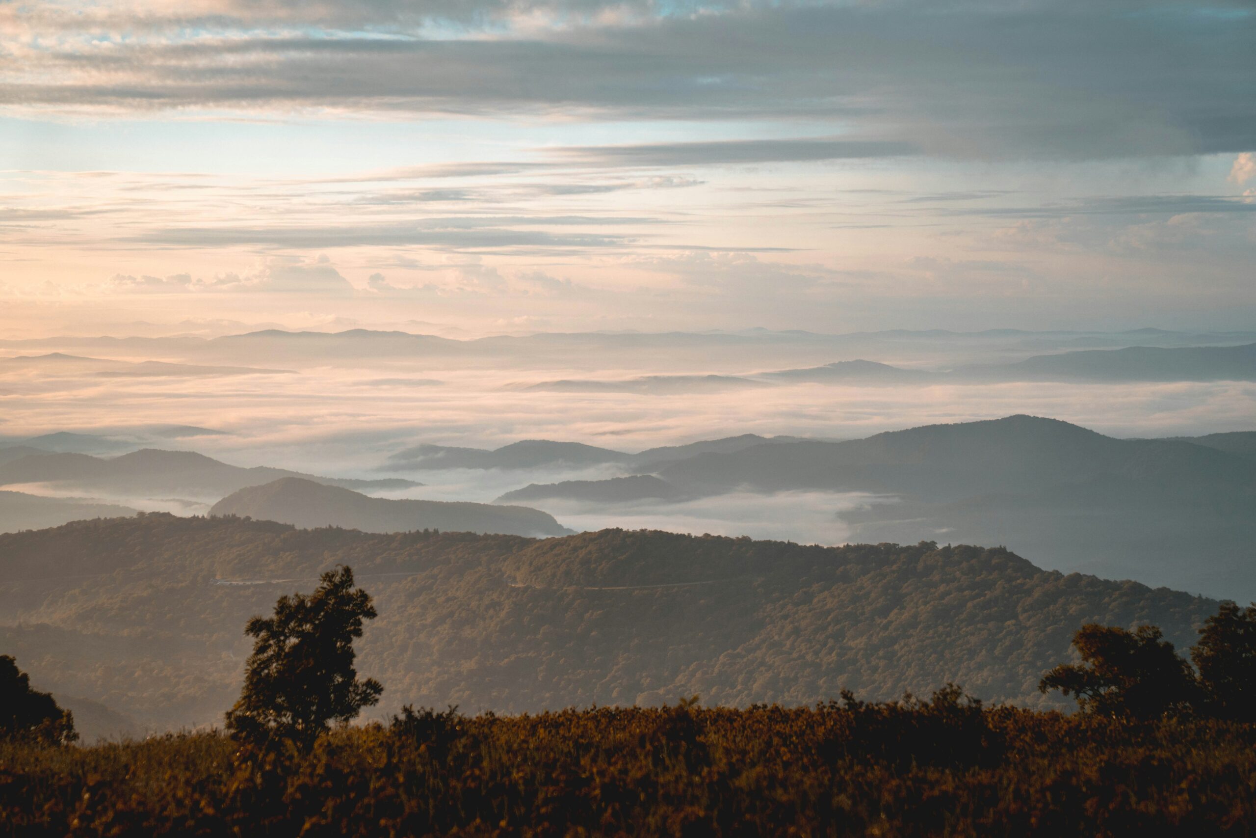 How Much Does an Uncontested Divorce Cost in Asheville?