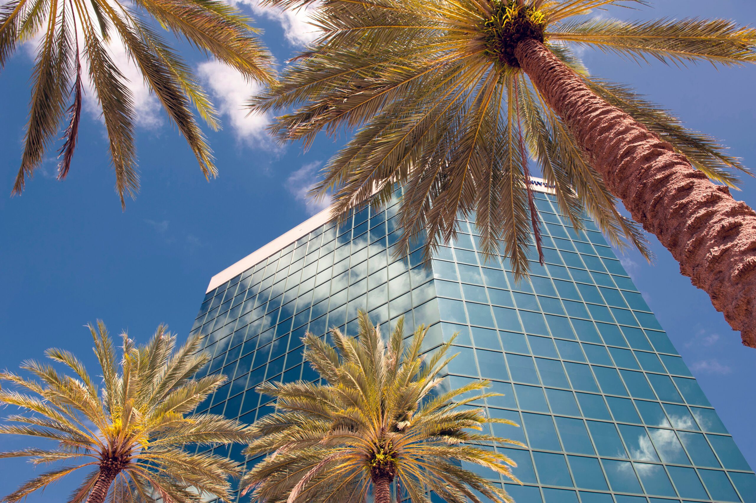 Dividing Military Pensions in Tampa Divorce: Understanding the 10/10 Rule