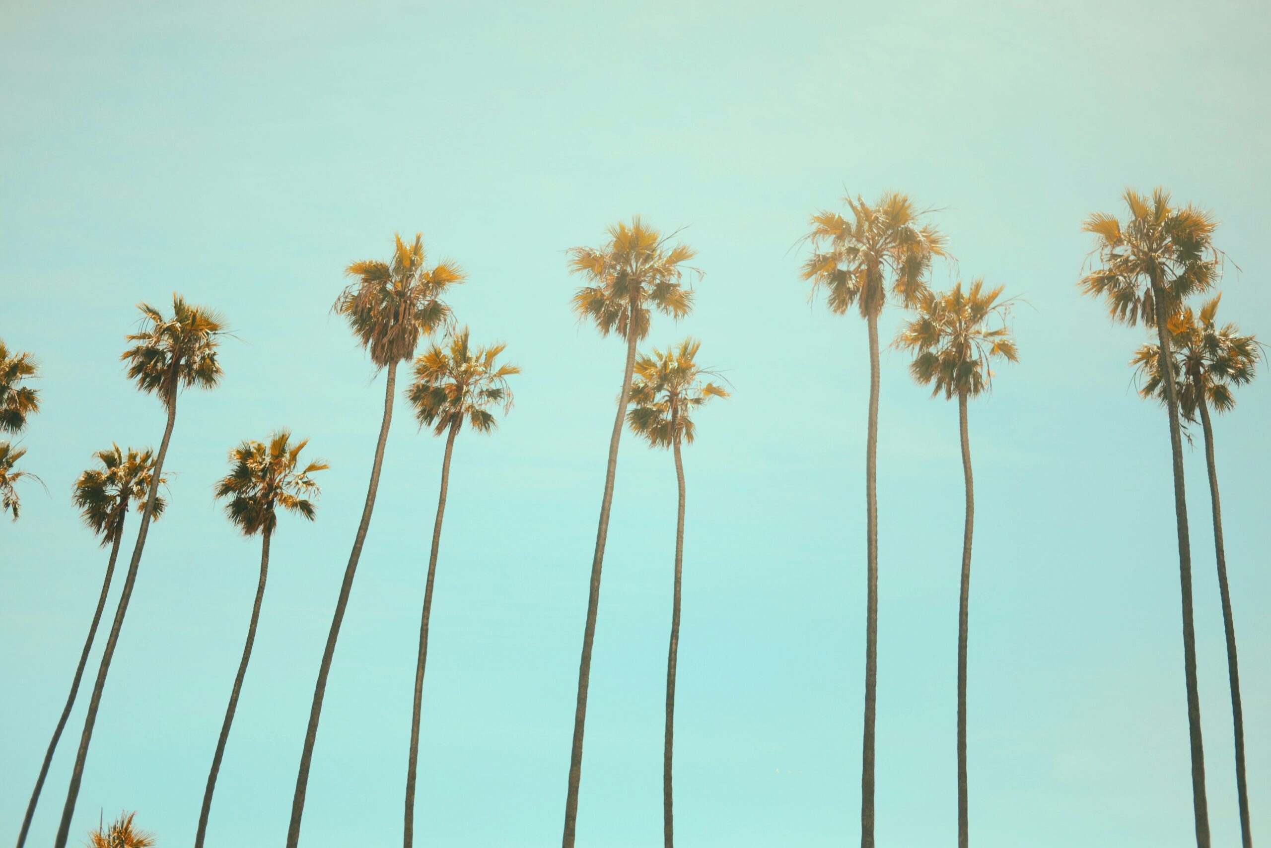 Prenuptial Agreements for Retirees in Tampa: Protecting Your Legacy
