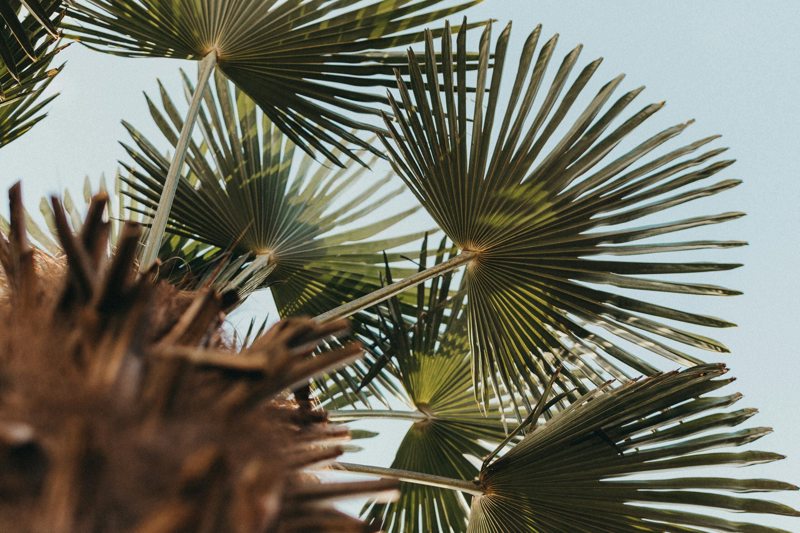 Equitable Distribution When One Spouse Is Undocumented in Florida
