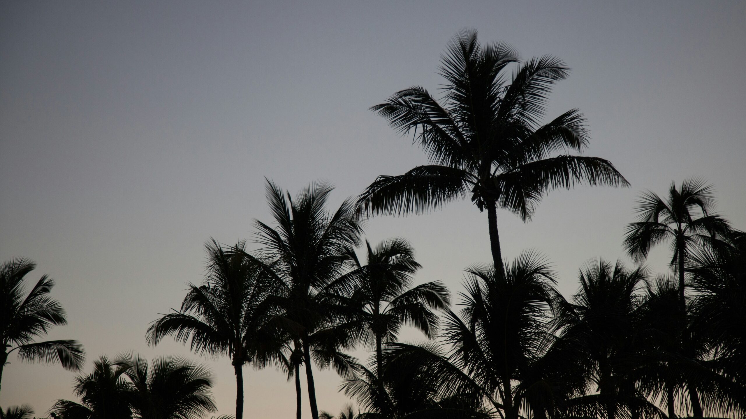 Can You File for Divorce in Tampa While Stationed Abroad?