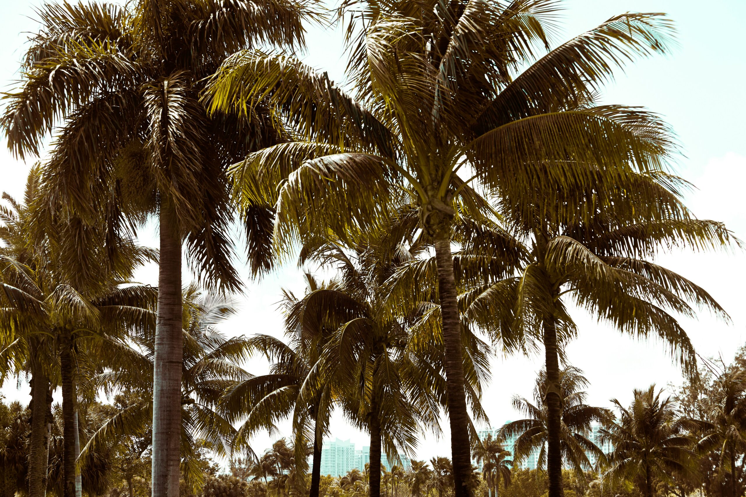 What Counts as Marital Property When You’ve Been Stationed Everywhere?