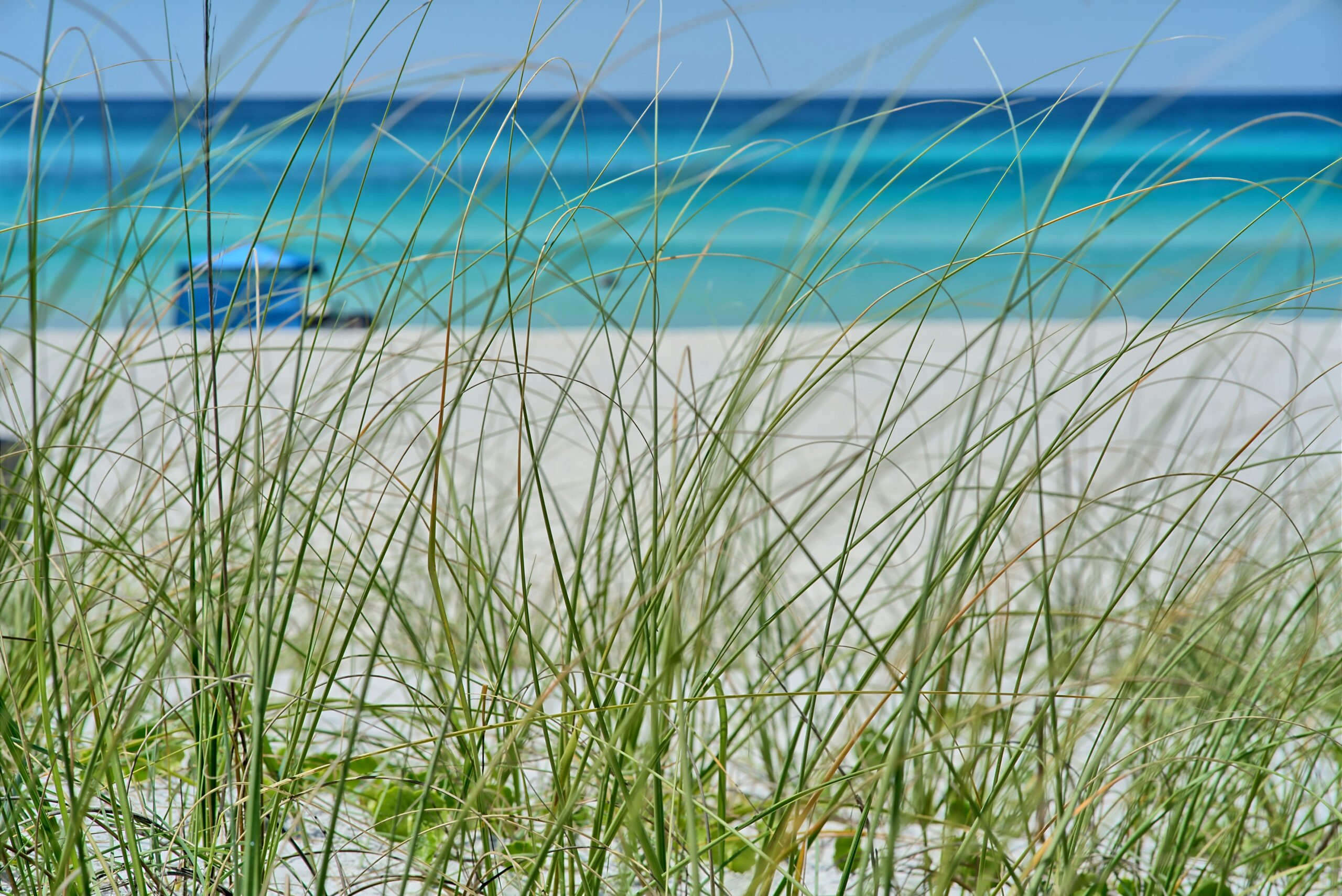 Relocation Requests: Legal Considerations in Florida Custody Cases