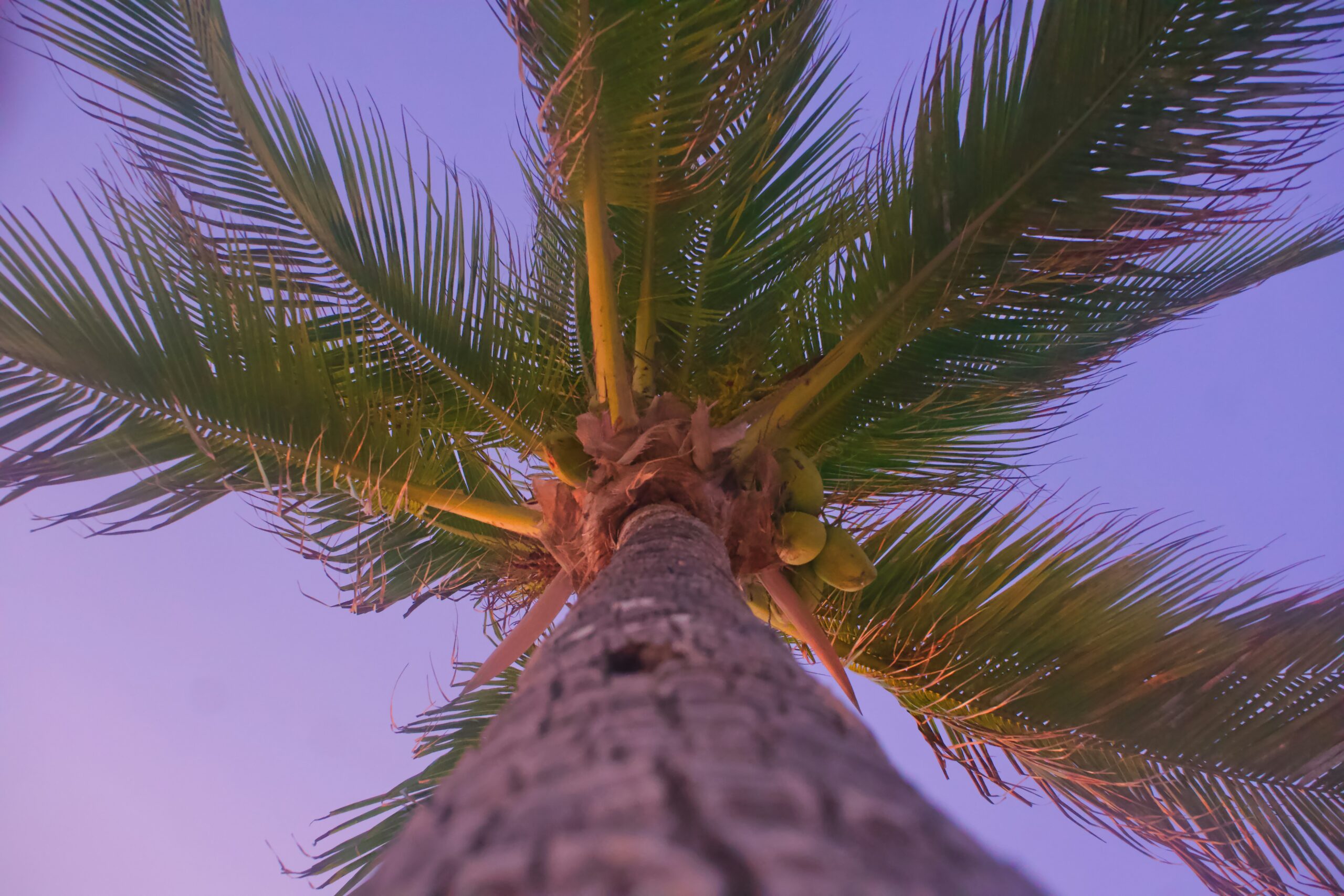 Business Income Manipulation in Florida Divorce Cases