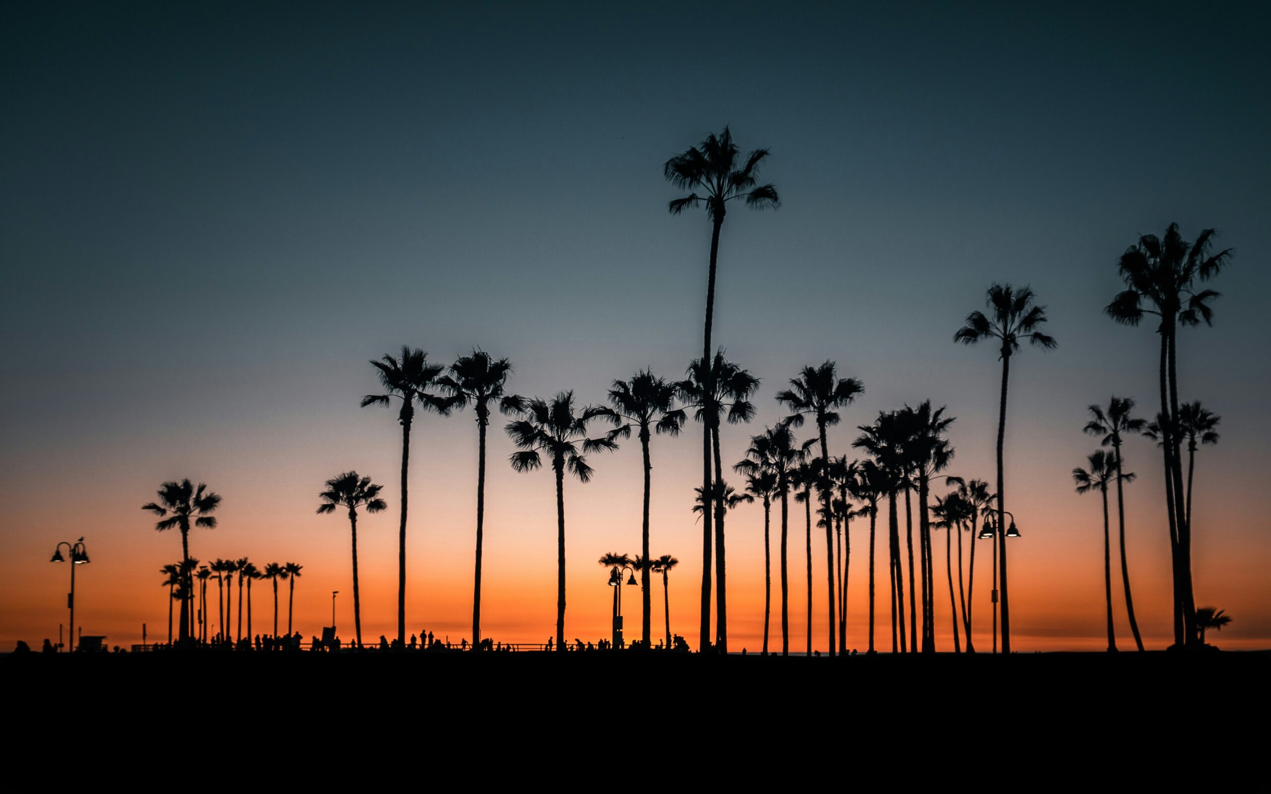 Prenuptial Agreements and Immigration Status in Tampa