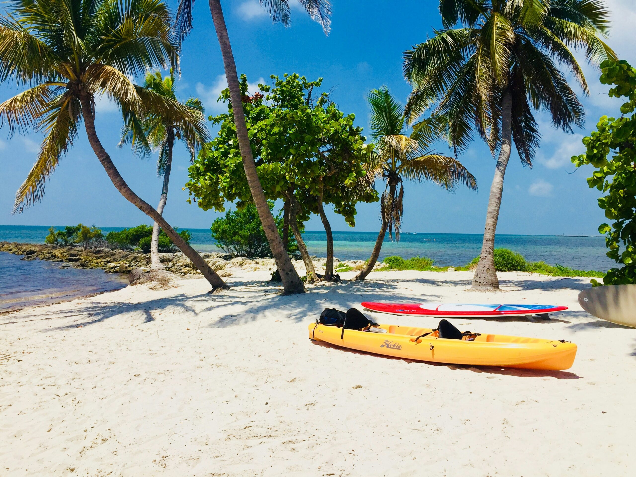 Protecting Your Rights During Long Absences from Florida