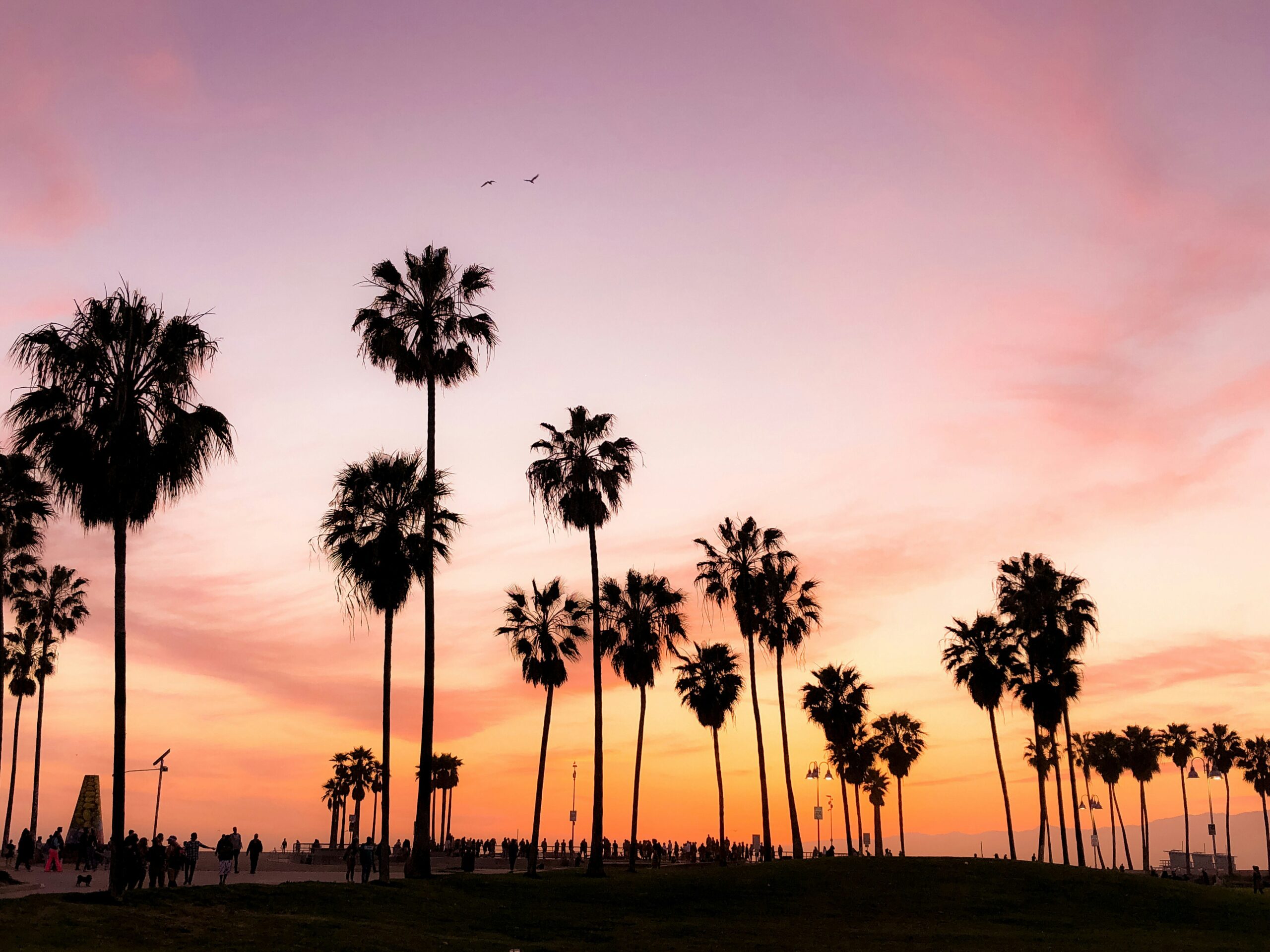 Prenuptial Agreements Gone Wrong: Tampa Cautionary Tales