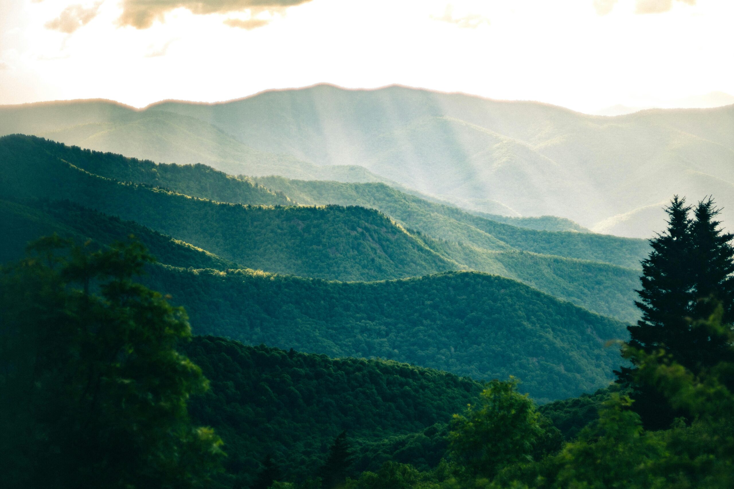 How to Serve Divorce Papers in an Asheville Uncontested Case Without Conflict
