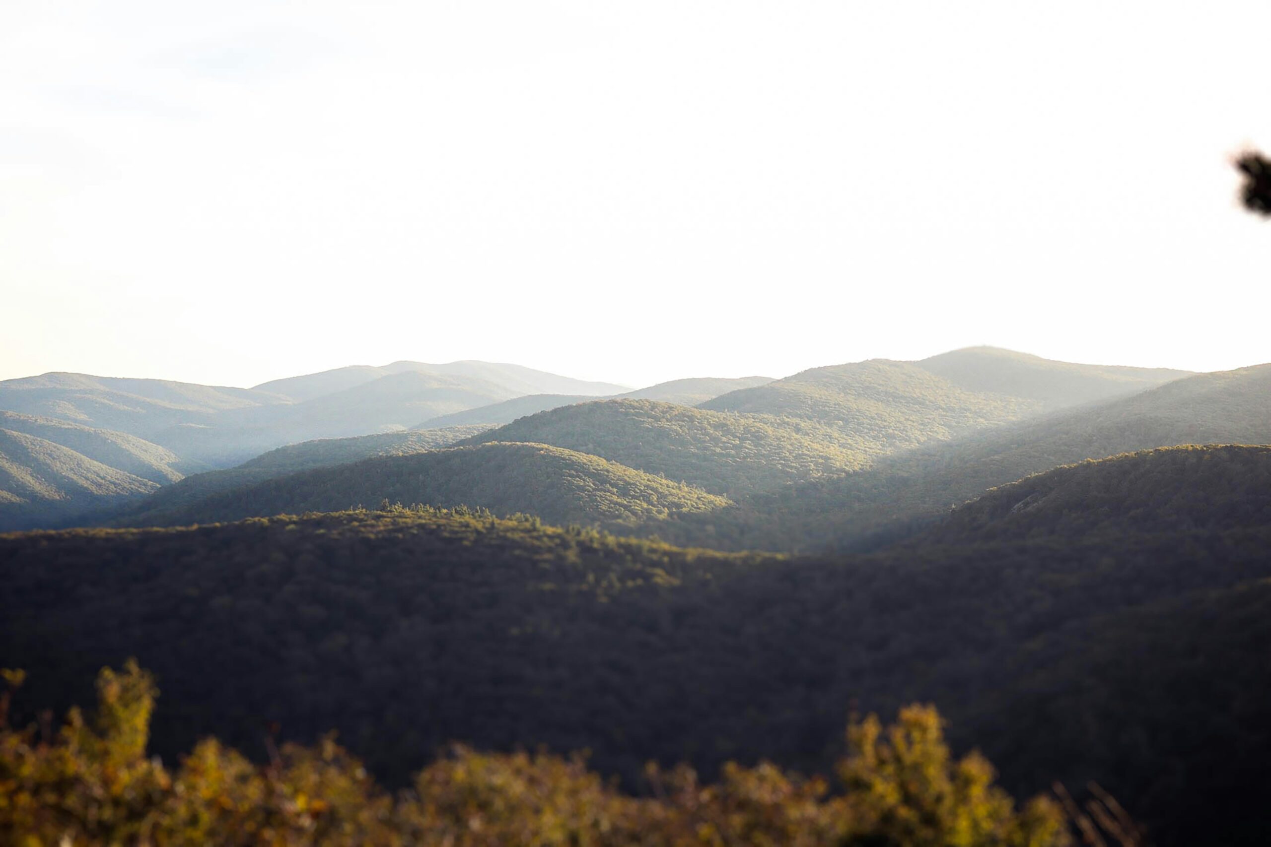 Can I Get Spousal Support in an Uncontested Divorce in Asheville?