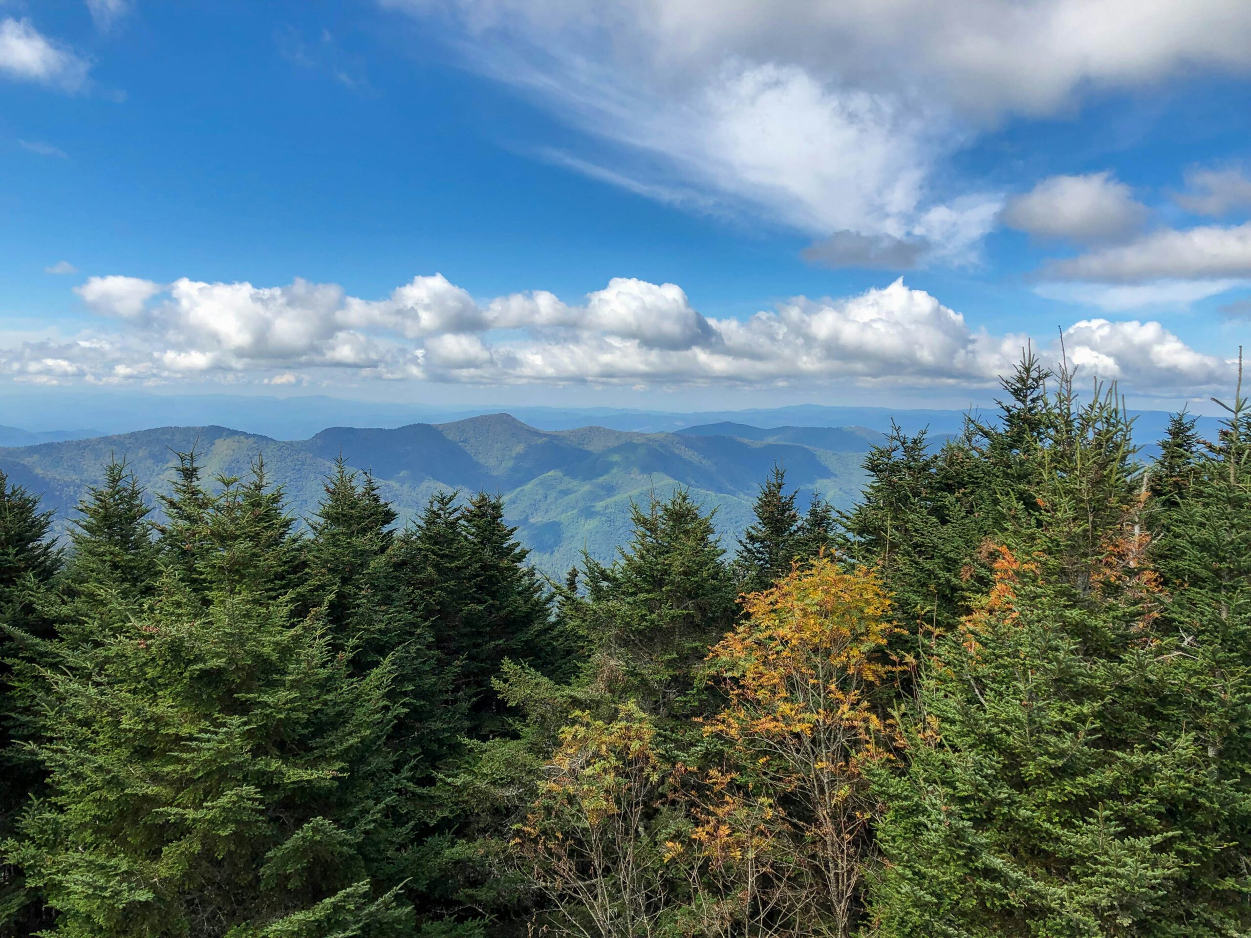 Can We Use the Same Asheville Uncontested Divorce Attorney?