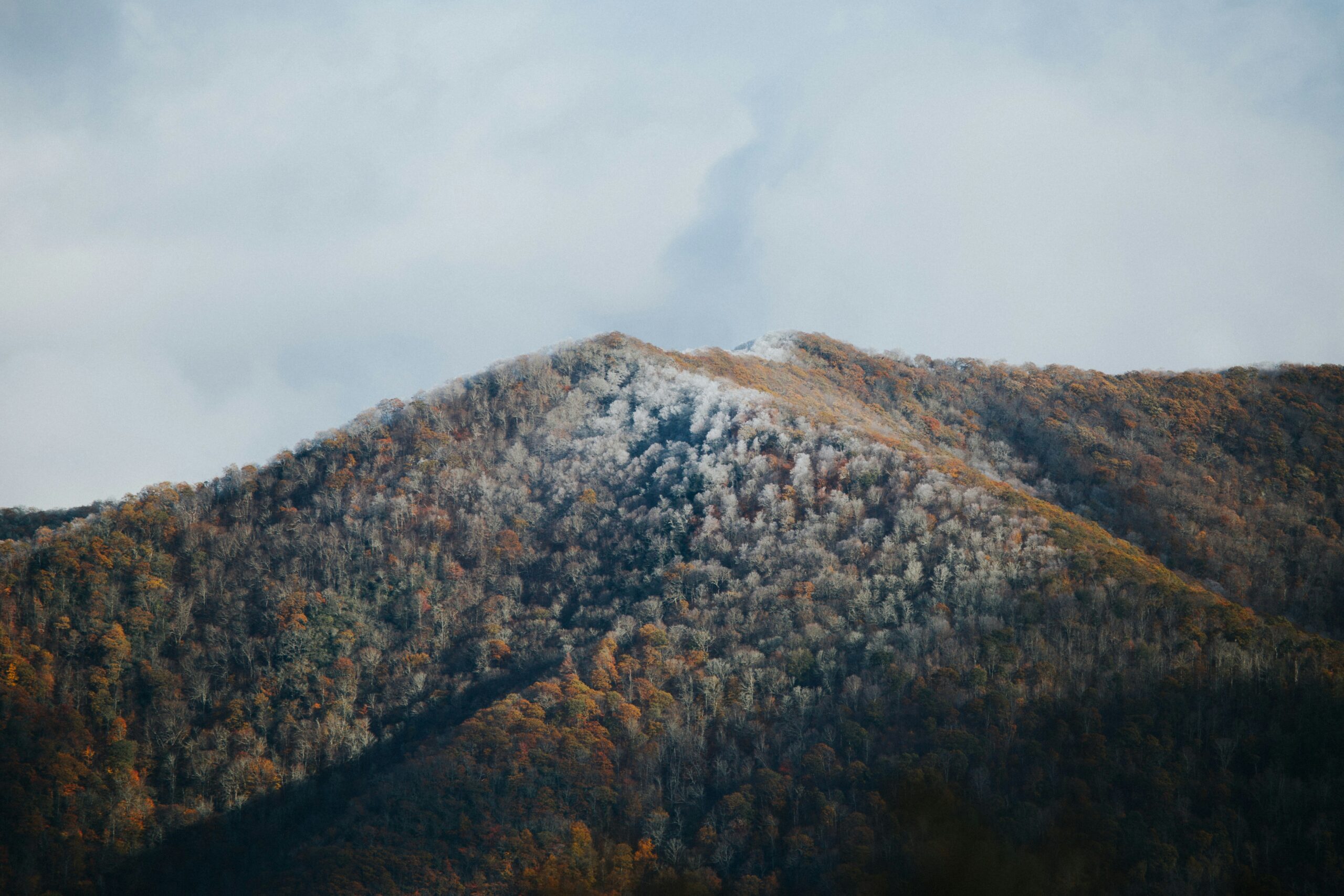 How Long Do I Have to Be Separated to File for an Uncontested Divorce in Asheville?