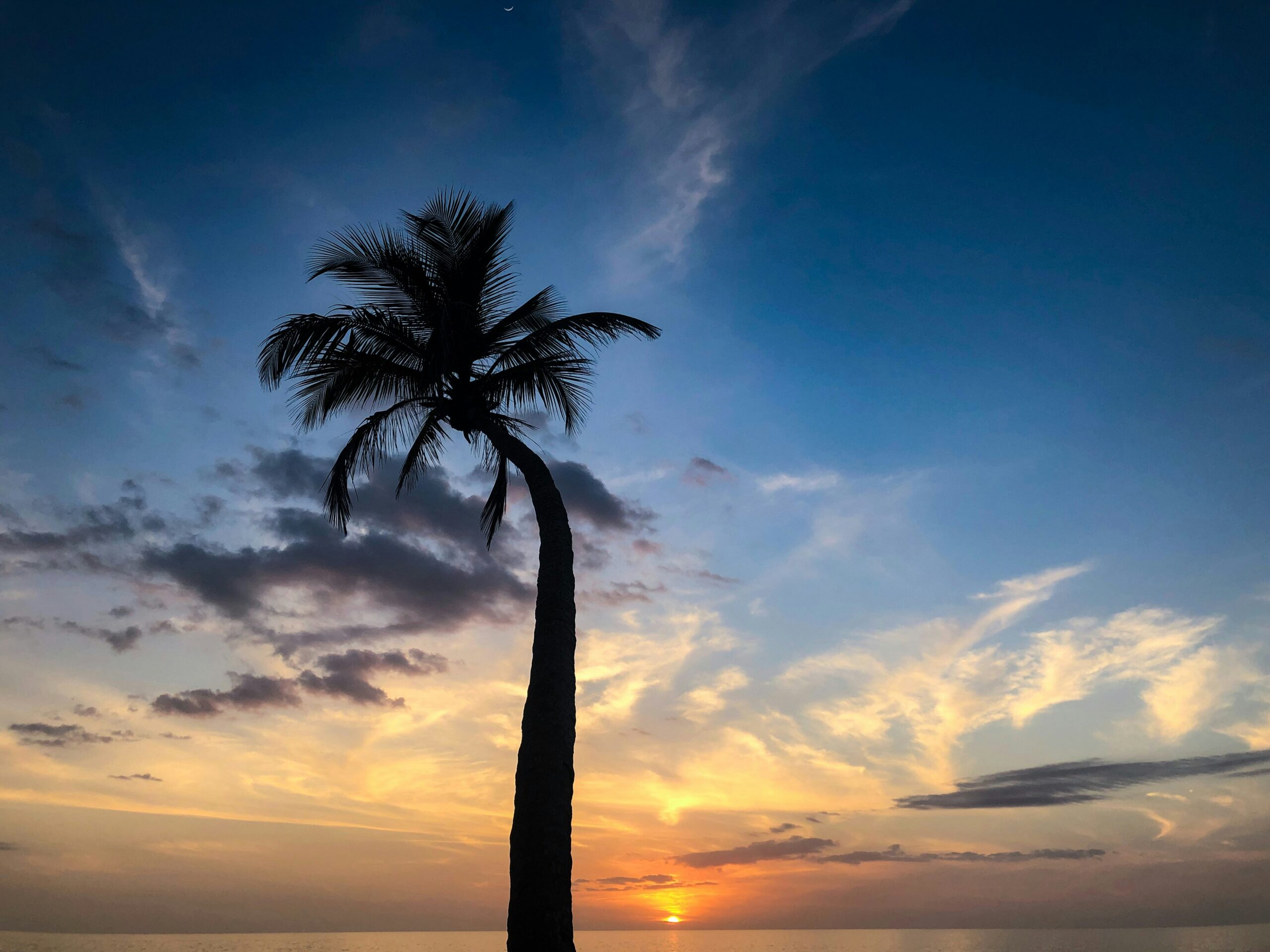 Can You Subpoena Your Spouse’s Employer in a Florida Divorce Case?