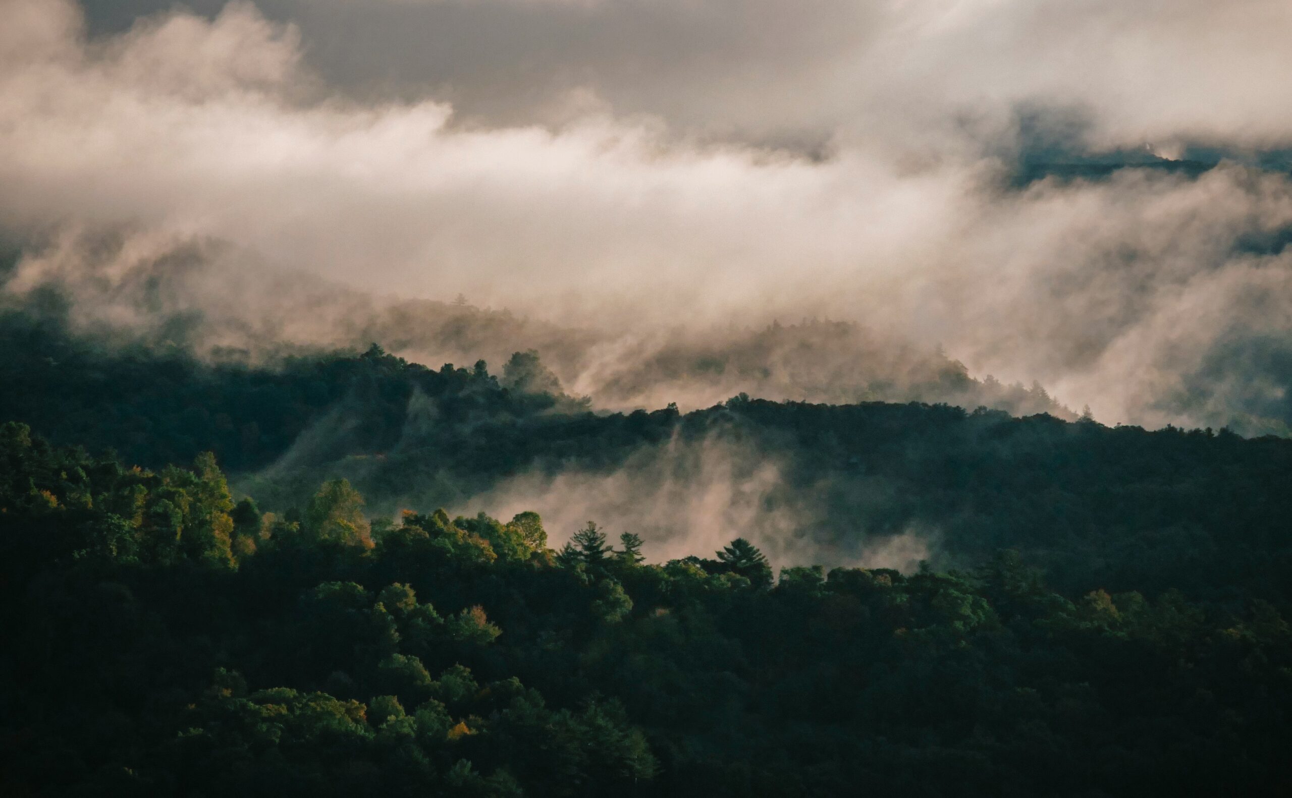 How to Legally Resume a Prior Name in an Asheville Uncontested Divorce