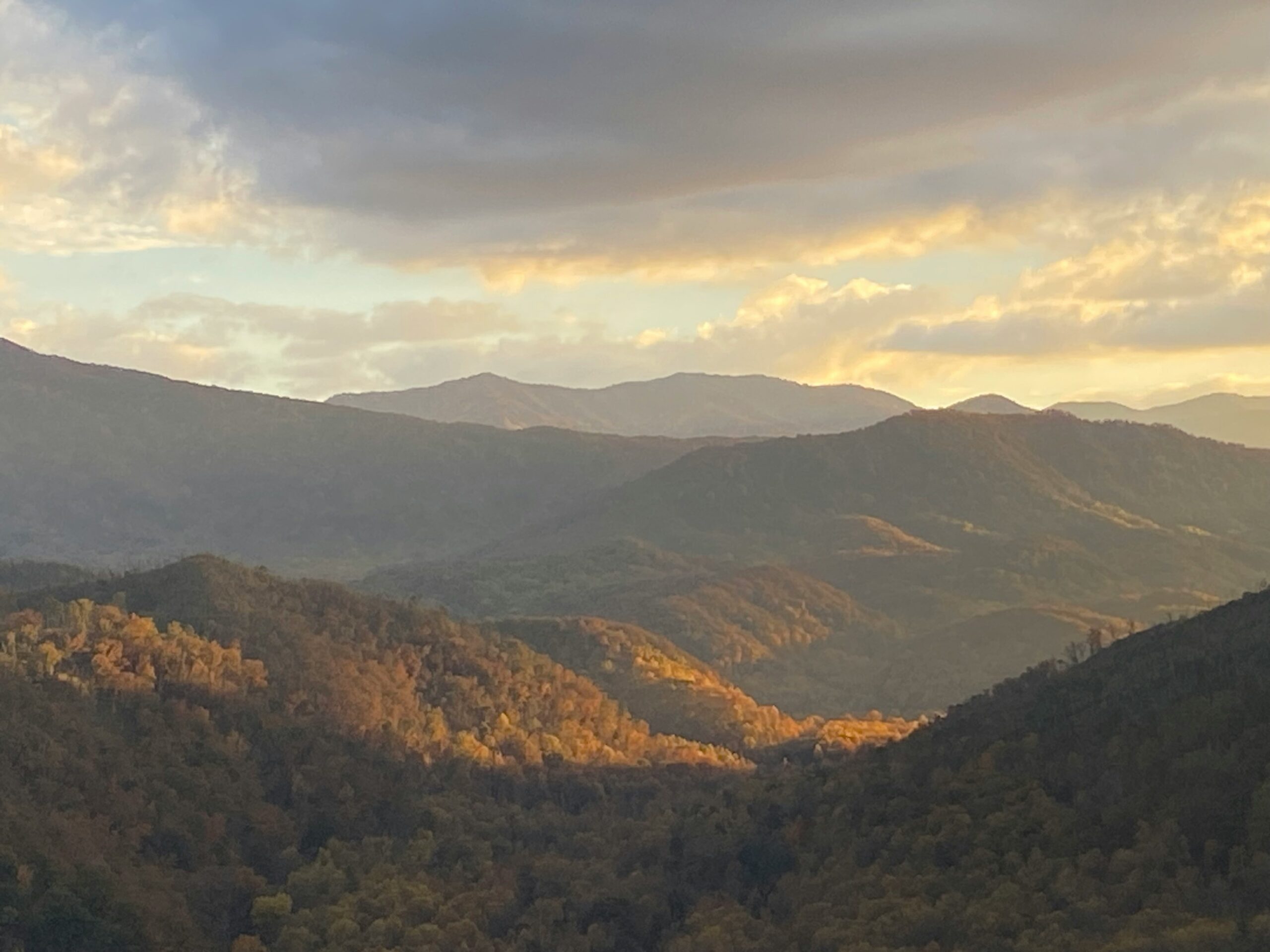 What Happens to Retirement Accounts in an Asheville Uncontested Divorce?