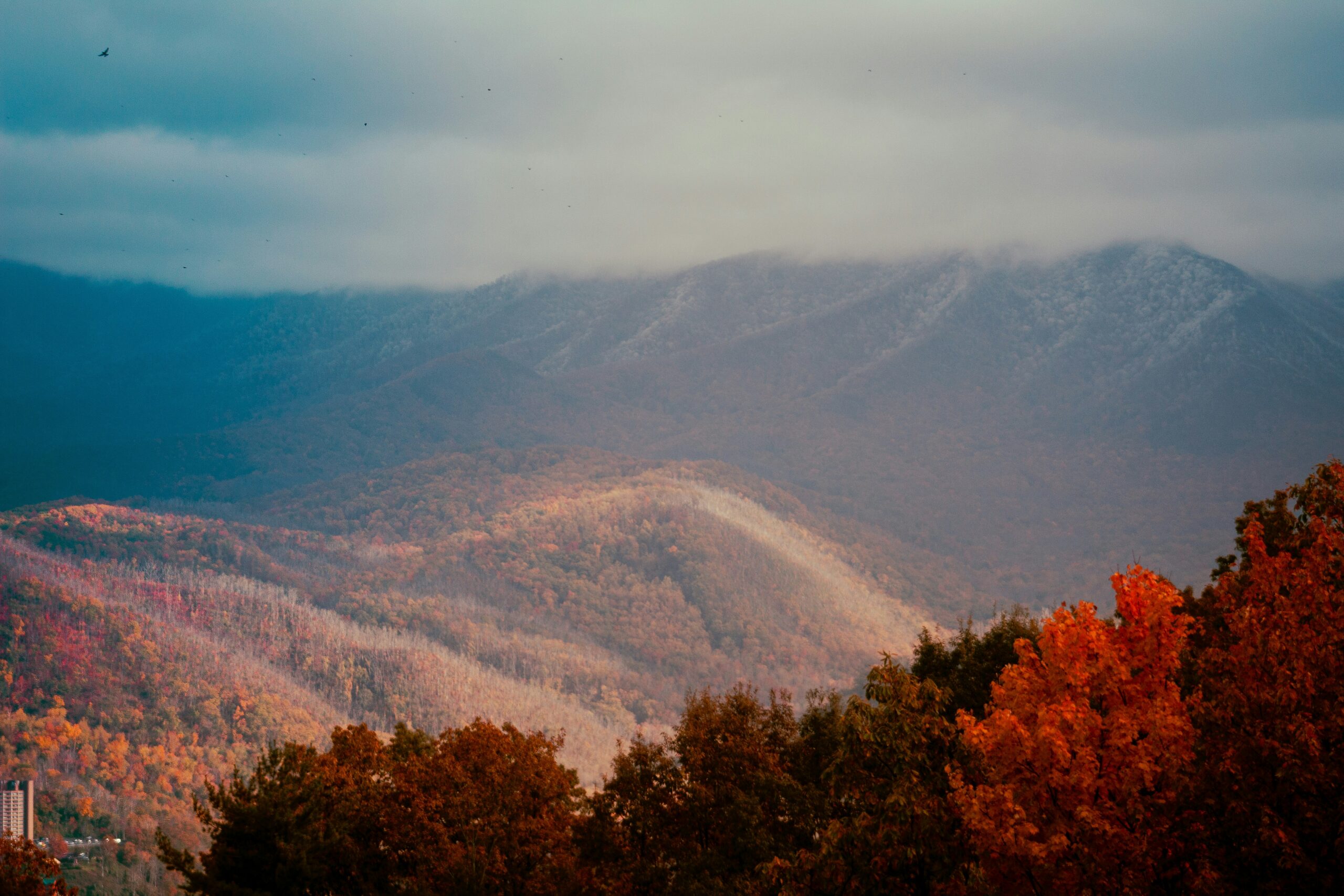 Uncontested Divorce for Military Families in Asheville: What You Need to Know