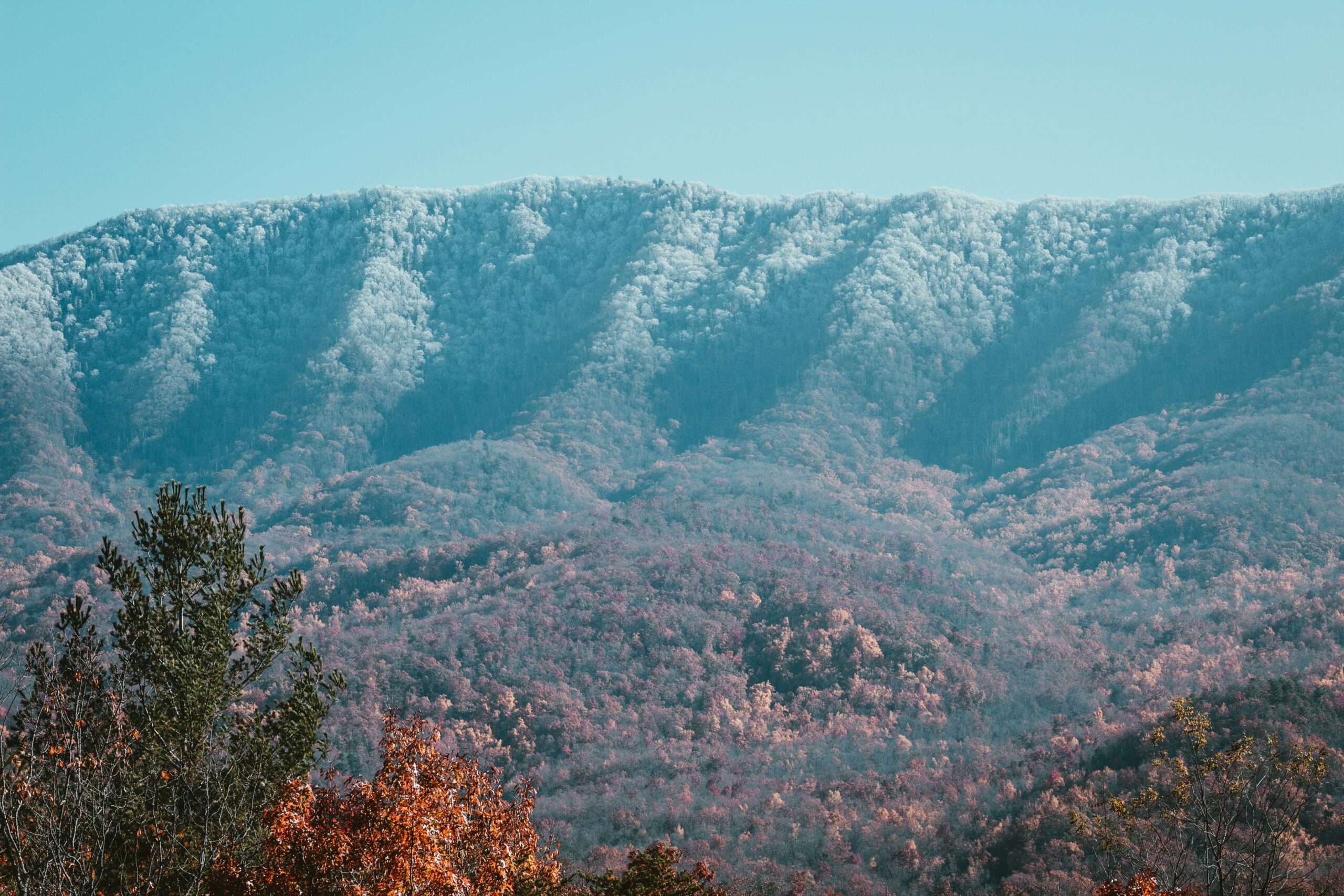 What If My Spouse and I Still Live in the Same House—Can We File for Uncontested Divorce in Asheville?