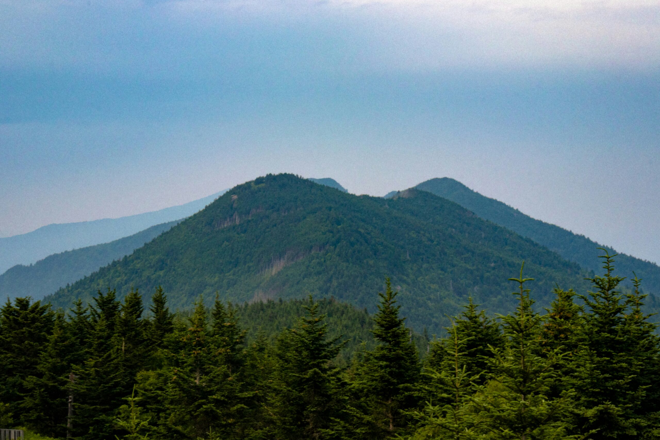 Does Mediation Play a Role in Asheville Uncontested Divorces?