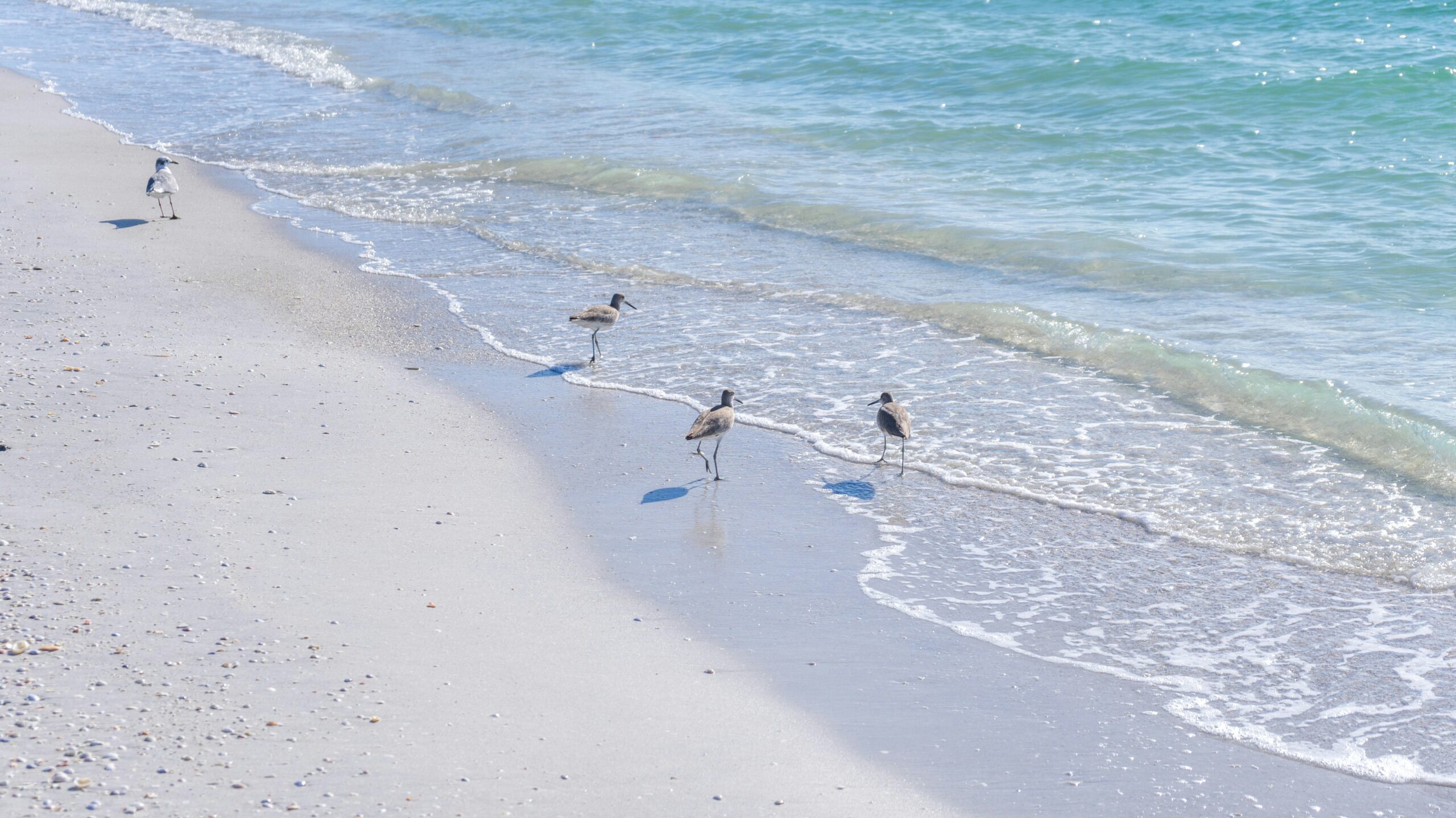 Prenups for Second Marriages: What to Consider in Florida