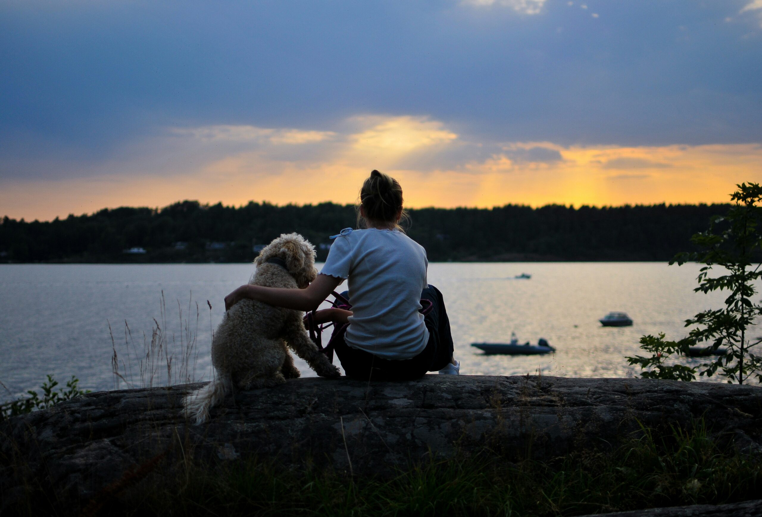Why Hiring a St. Petersburg Prenuptial Agreement Lawyer Protects Your Future