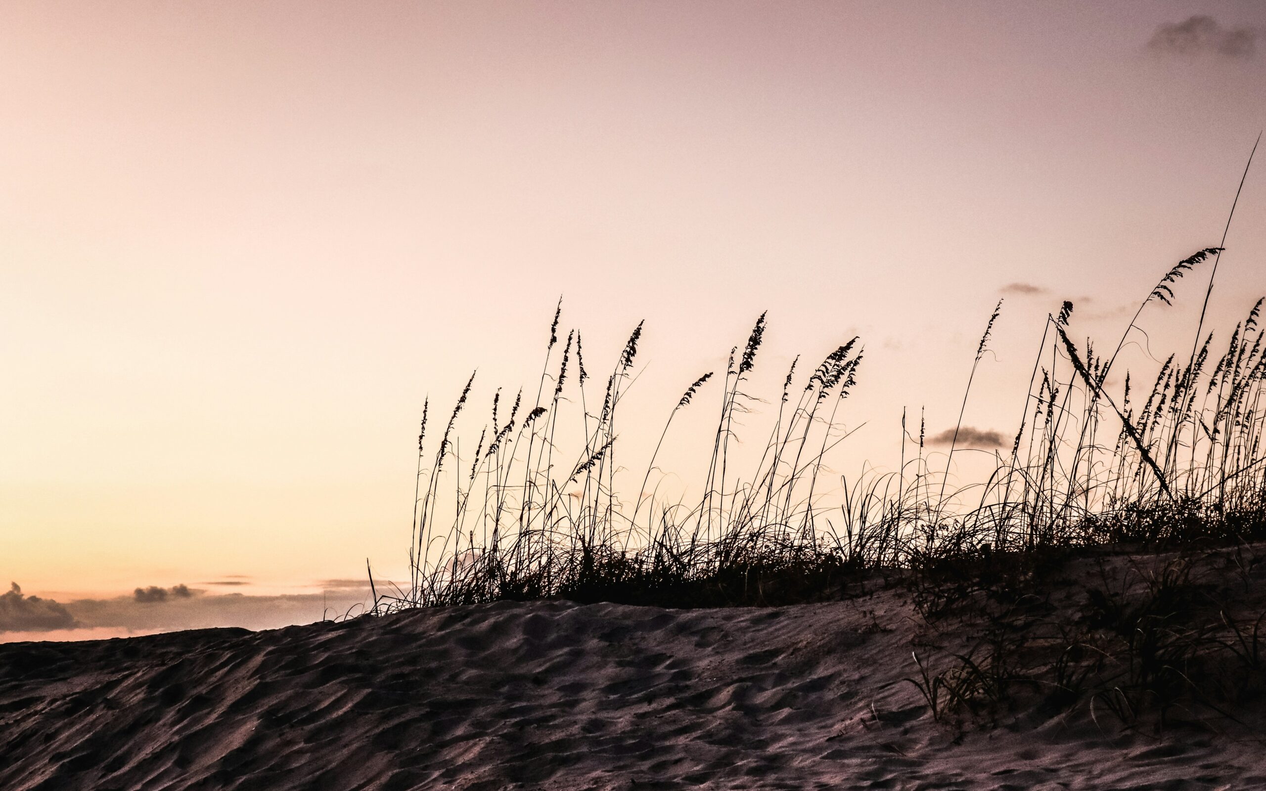 Steps to Draft a Prenup in Orlando, Florida