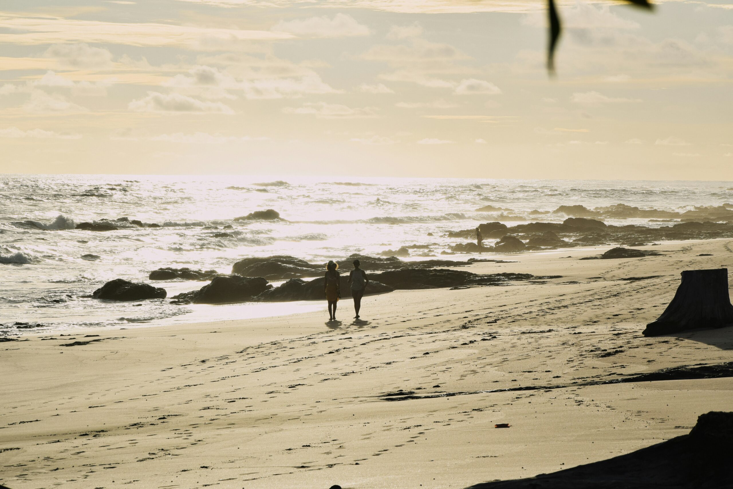 Do I Really Need a Prenuptial Agreement in Tampa?