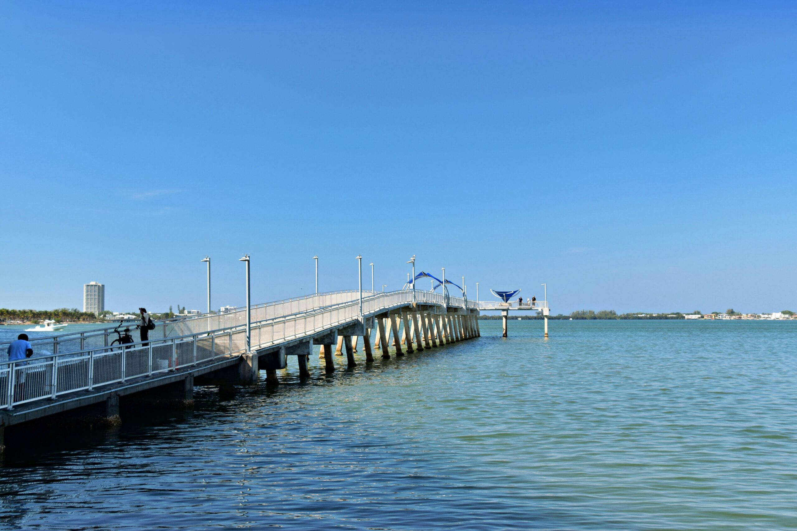 The Role of a Sarasota Prenuptial Agreement Lawyer in Second Marriages