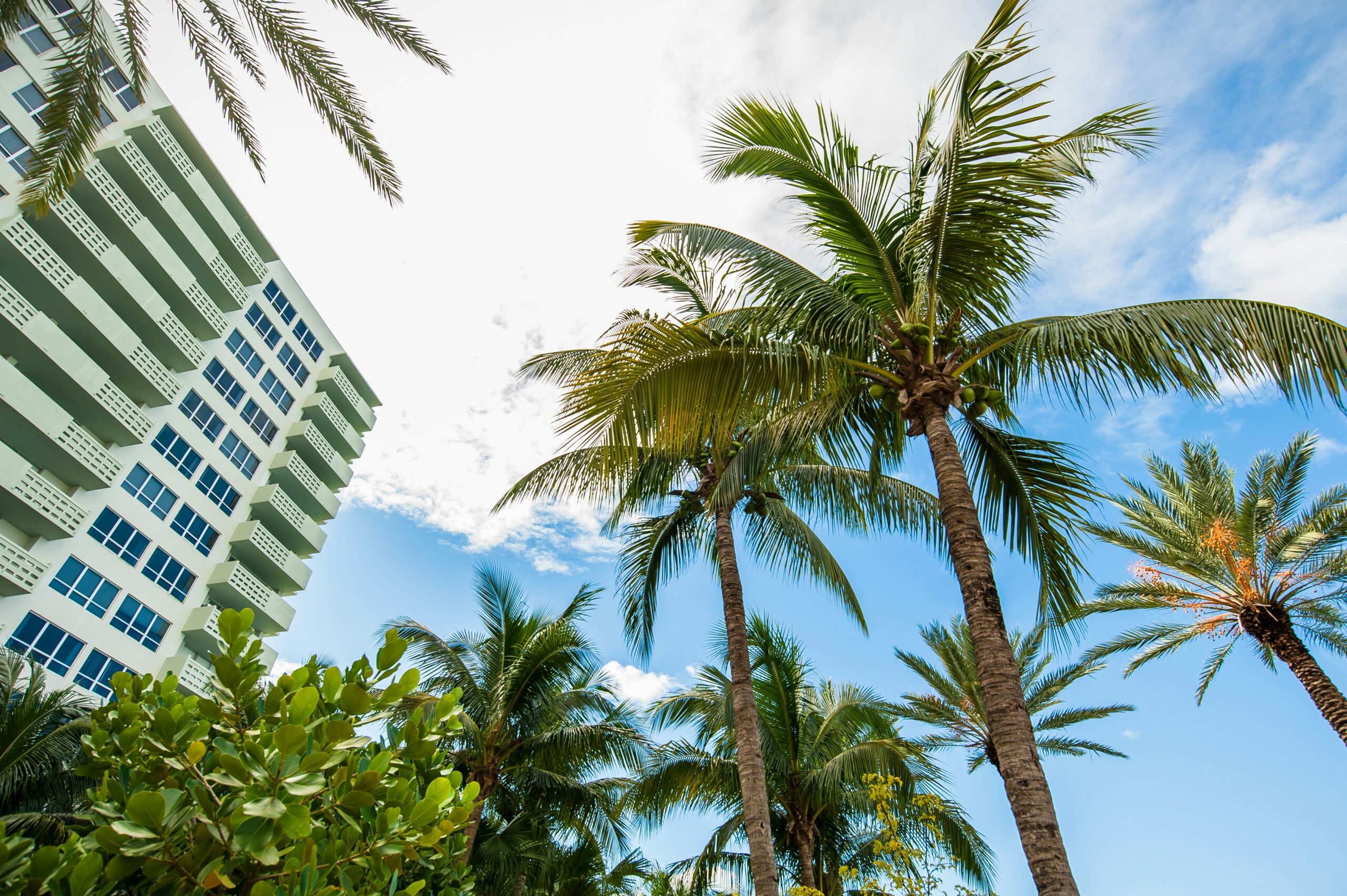 What to Expect During Your First Meeting with a Sarasota Prenuptial Agreement Lawyer