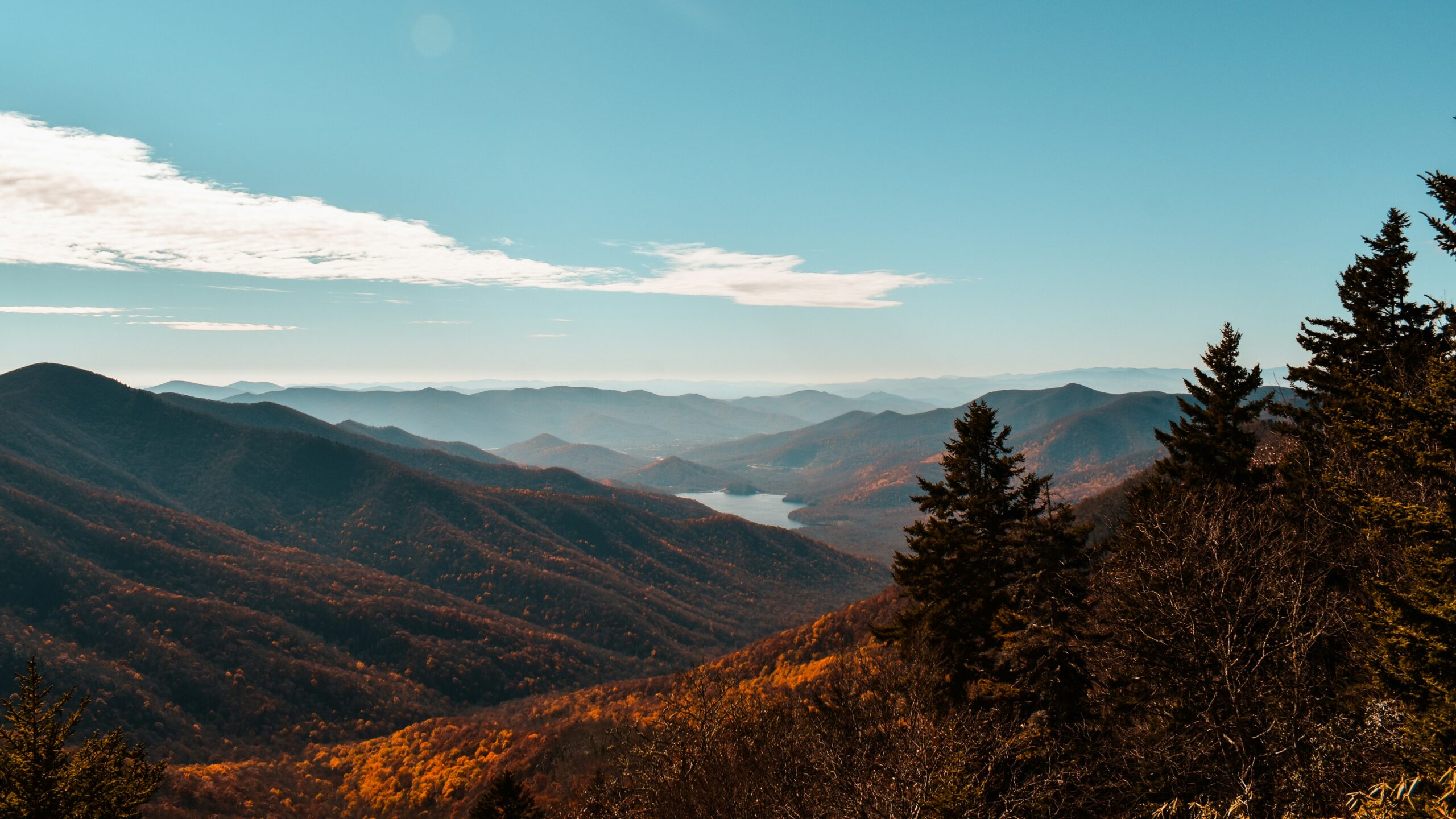 Can You Use a Prenup to Protect an Asheville Home?