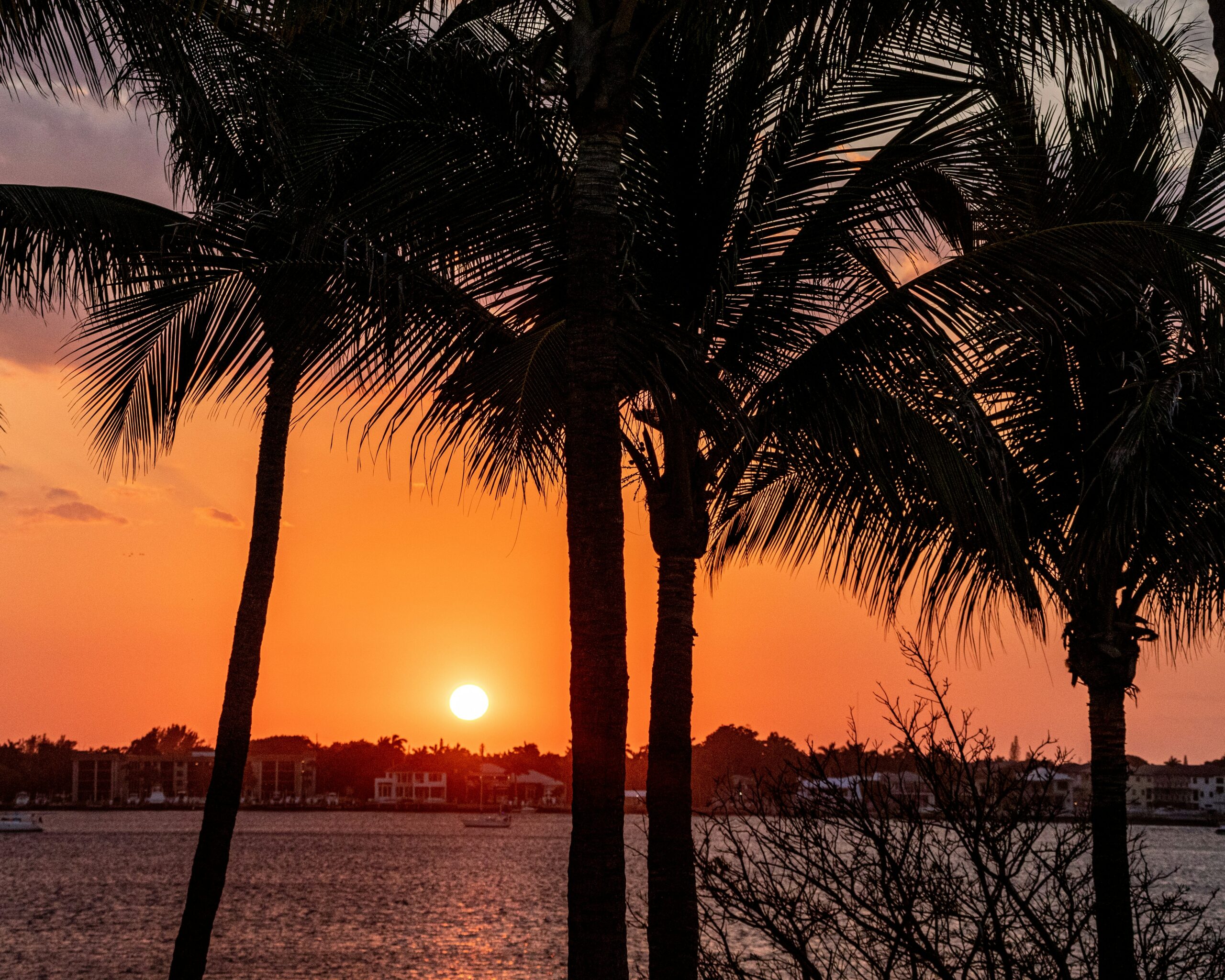 Florida Prenups for Digital Nomads: What to Know If You Live and Work Remotely