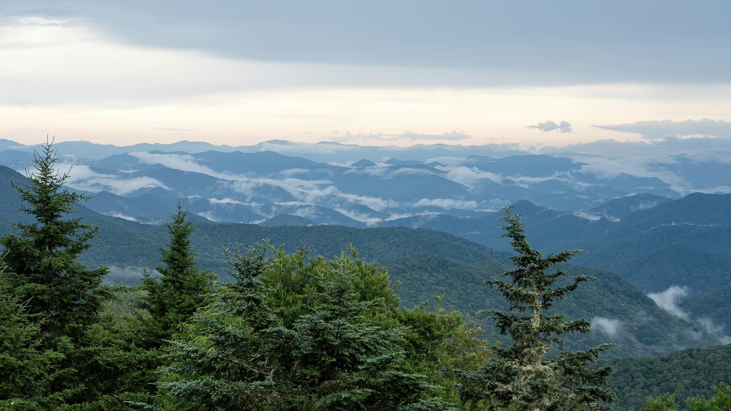 Are Postnuptial Agreements Legal in North Carolina?