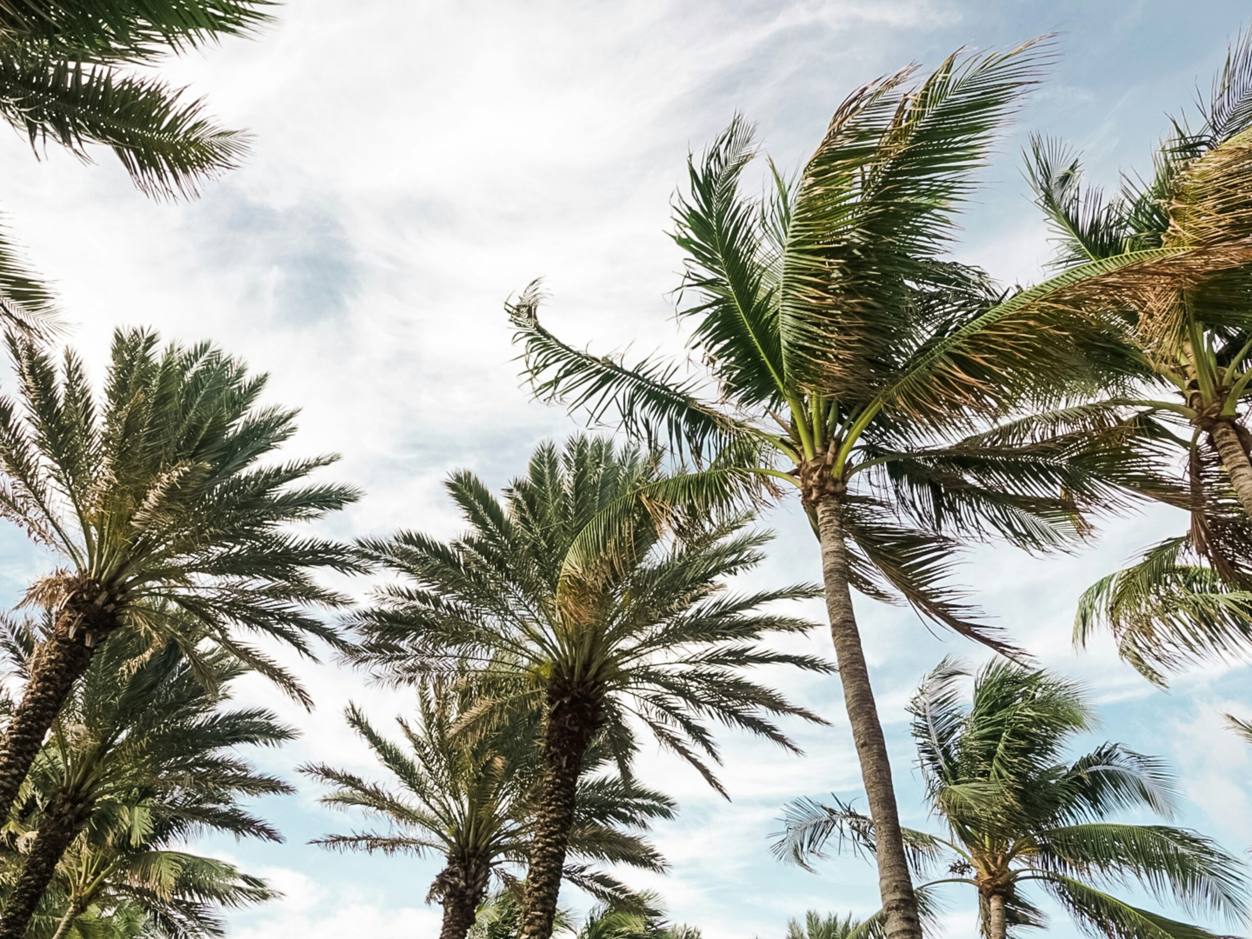 Dividing Luxury Assets in a Tampa High-Asset Divorce