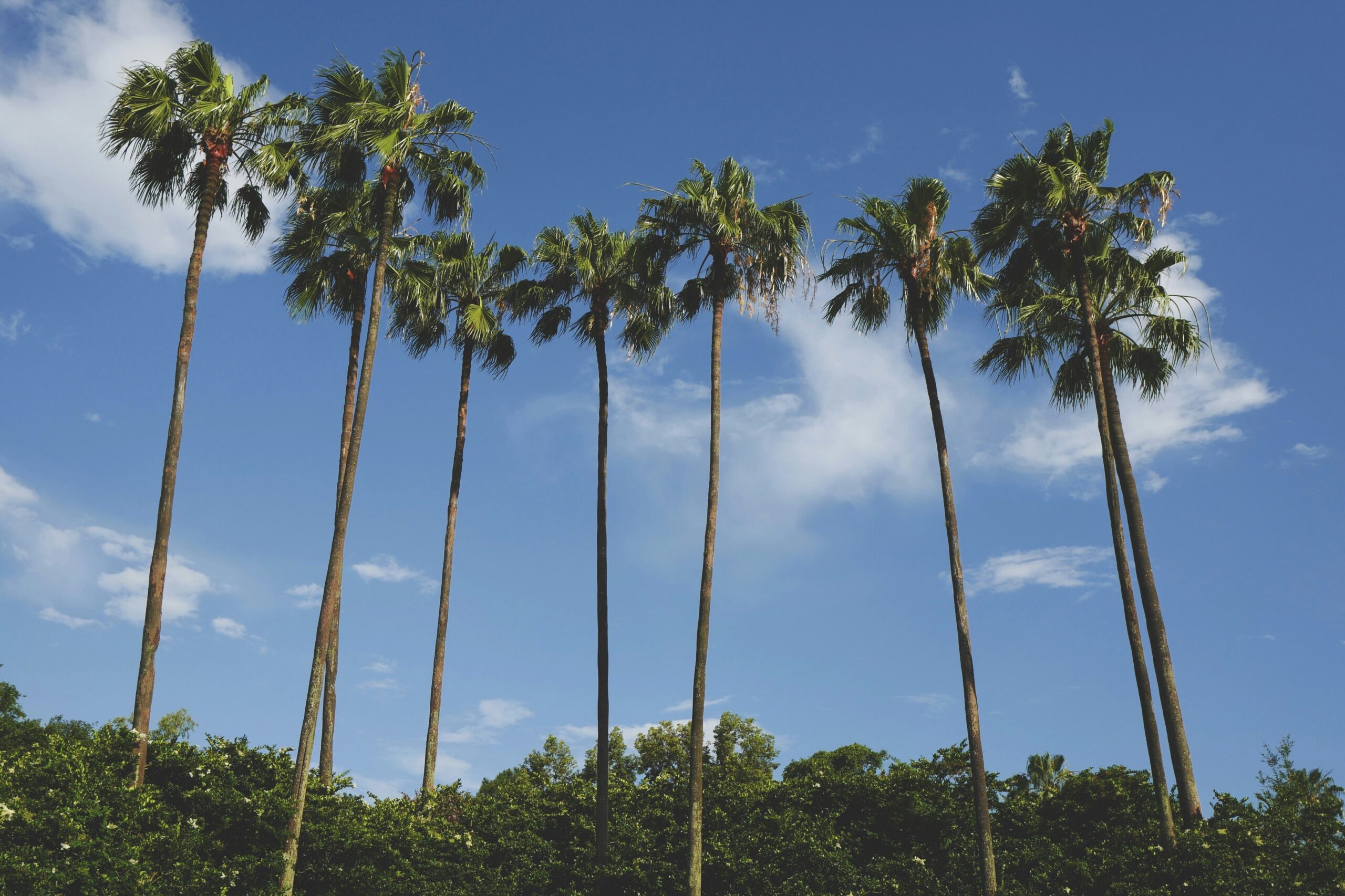 Protecting Business Interests During a High-Asset Divorce in Tampa