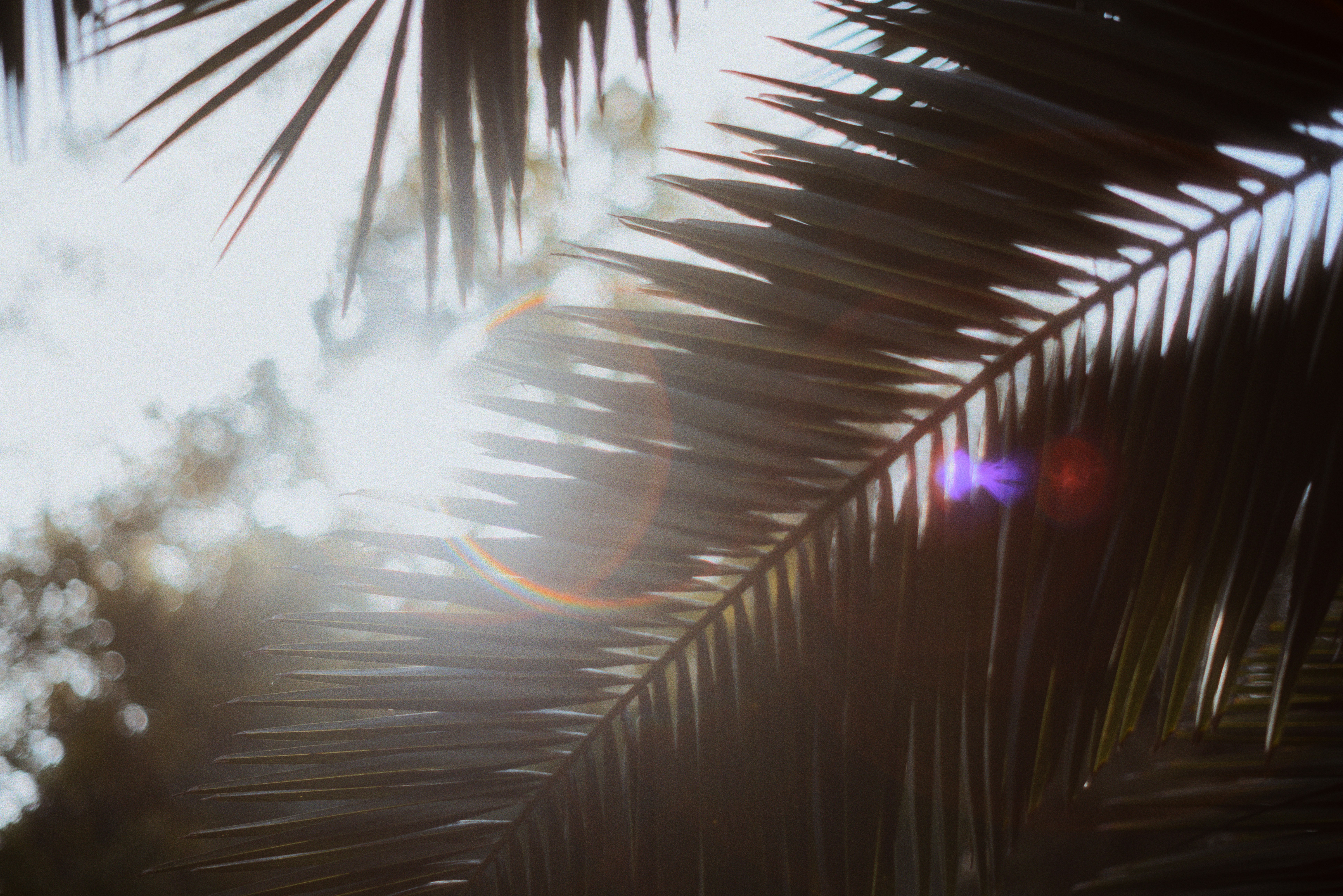 Discovery: The Legal Flashlight That Exposes the Truth in Your Florida Divorce