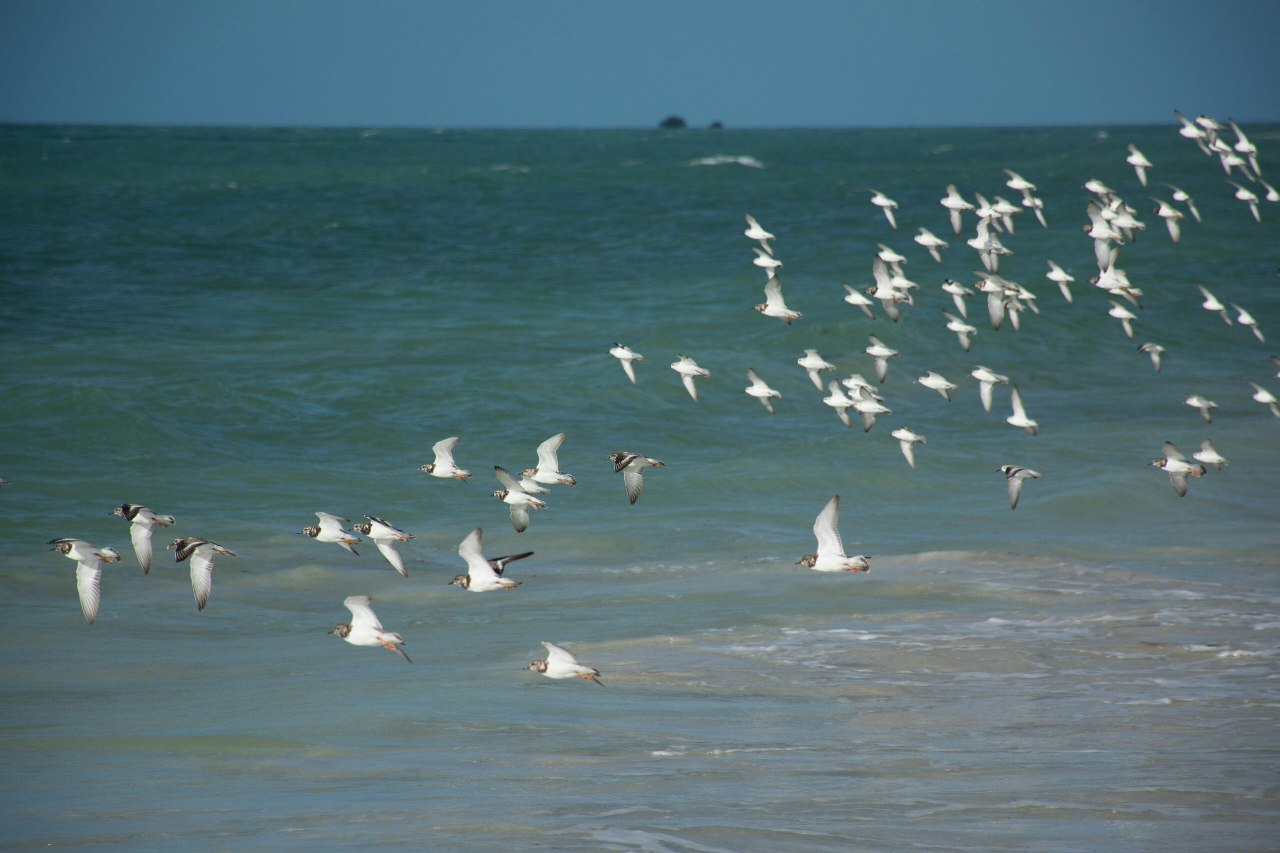 Inherited Wealth and Trust Assets in Clearwater Divorces
