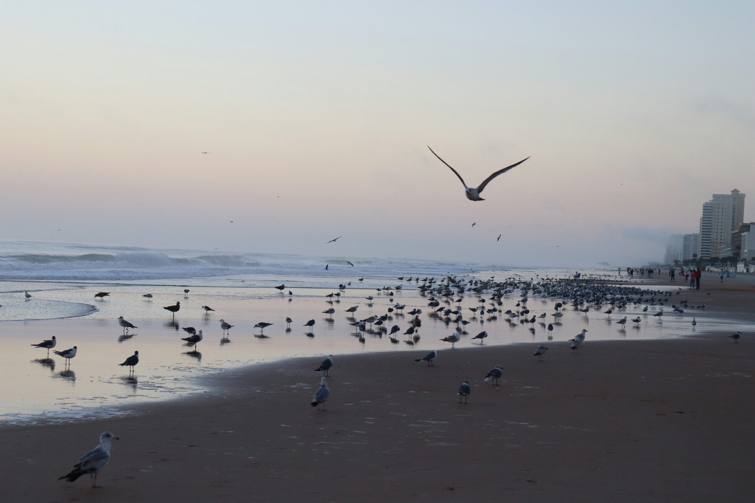 Miami Prenuptial Agreements for Young Financial Analysts on the Rise