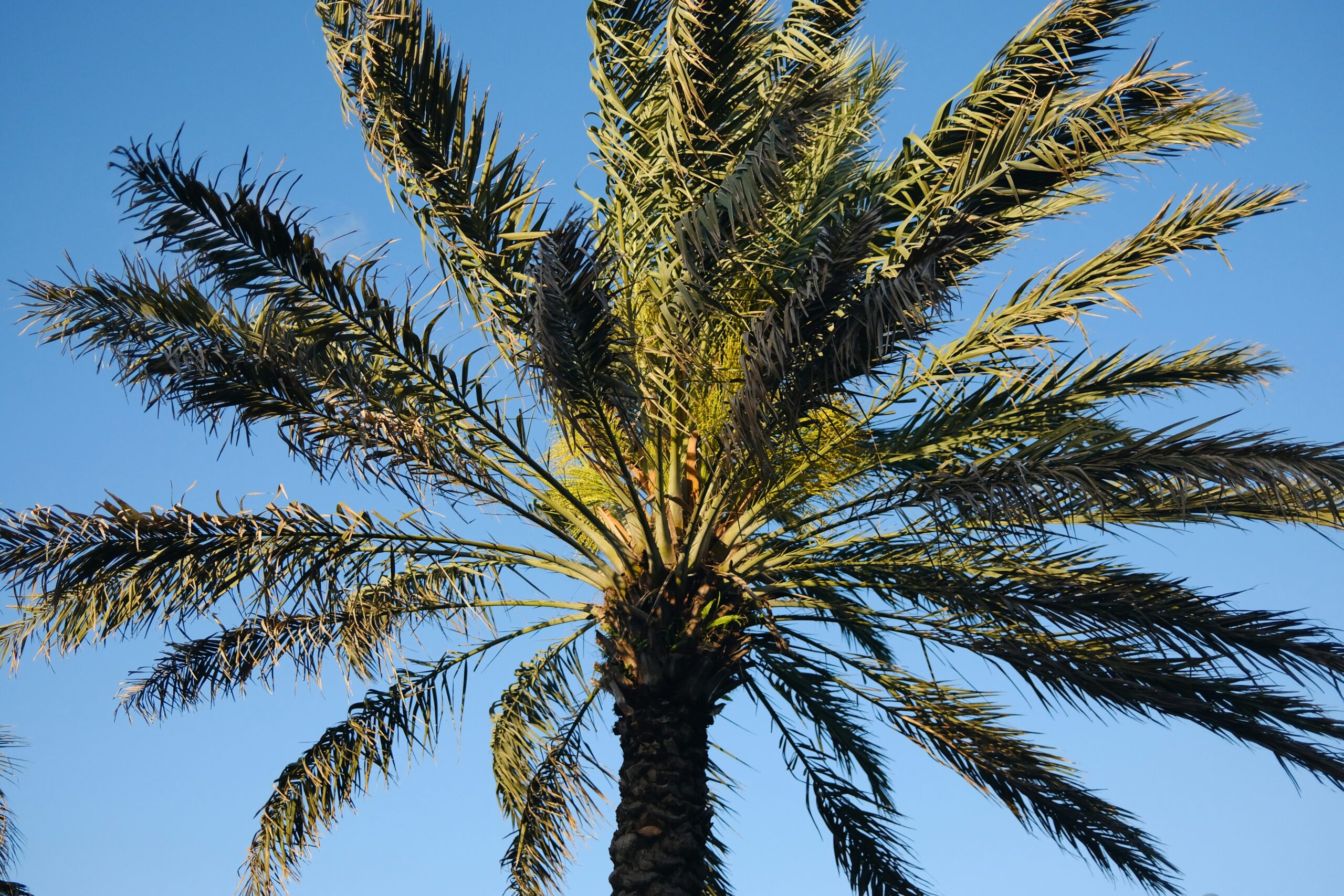 Real Estate and Vacation Homes in Tampa High-Asset Divorces