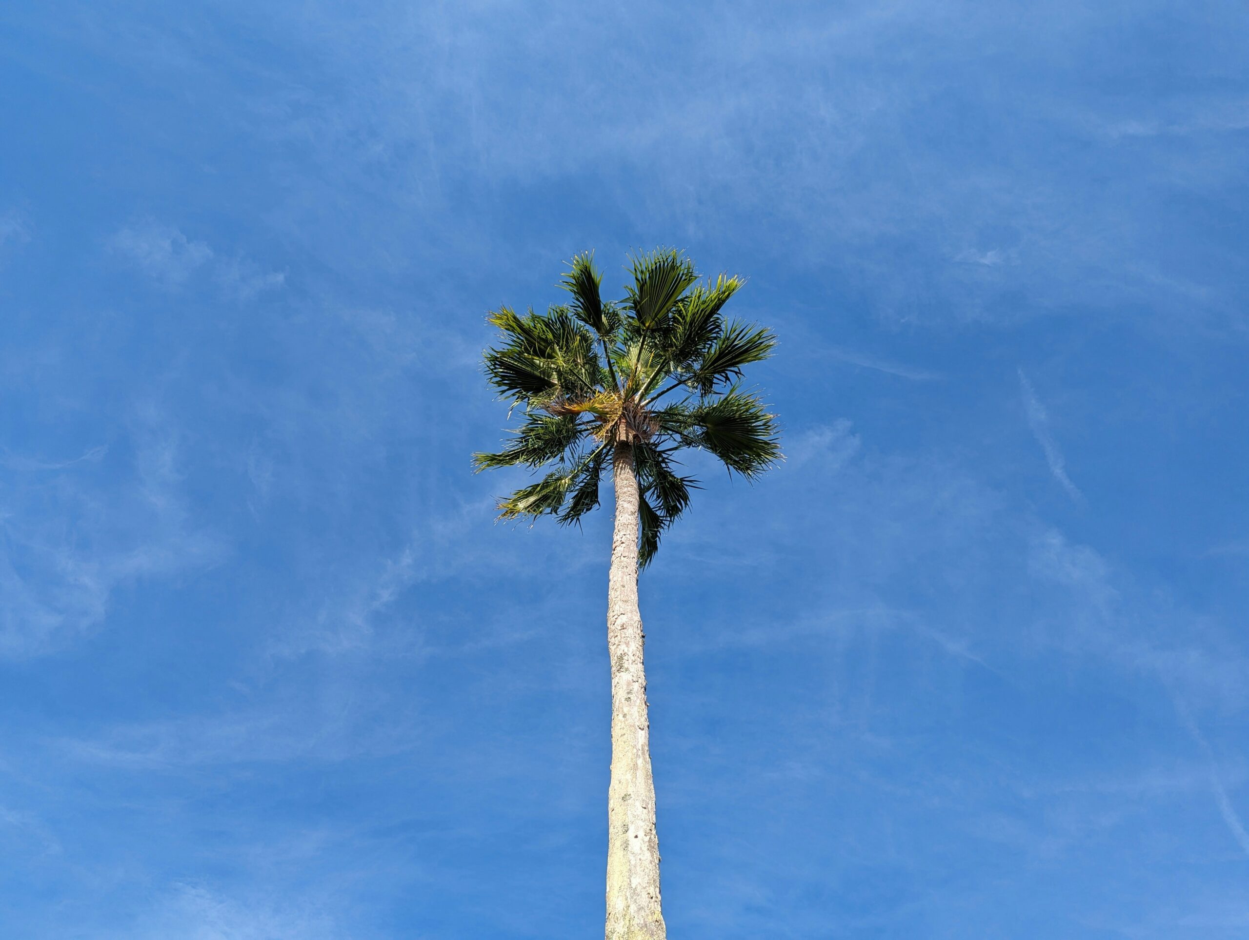 Complex Retirement Accounts and Investment Portfolios in Tampa High-Asset Divorces