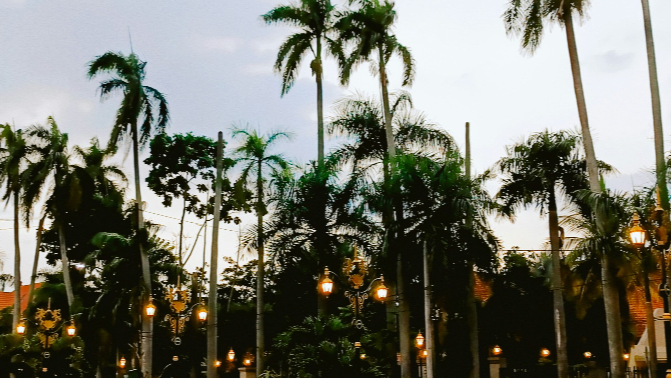 The Narcissist’s Divorce Playbook: 5 Tactics Your Tampa Divorce Lawyer Can Fight