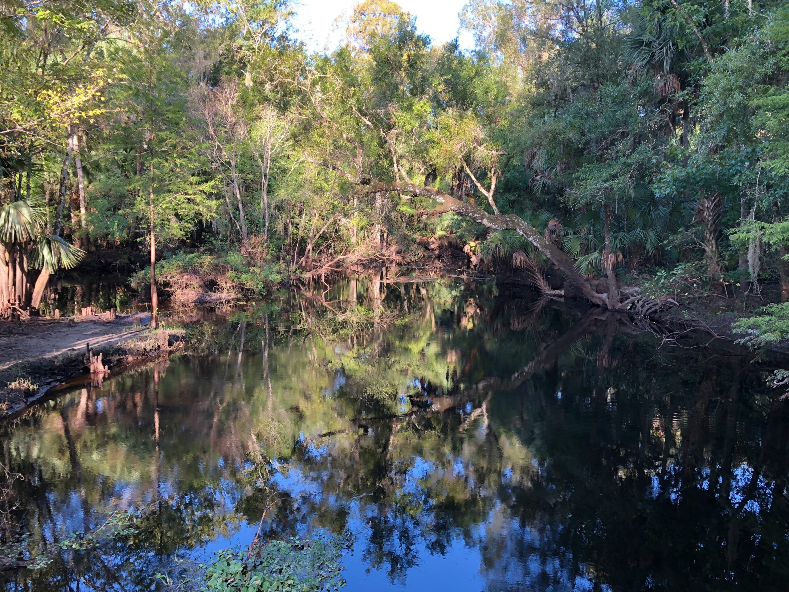 Tampa Divorce Lawyer on Retroactive Child Support and Adult Children: The Morrell Case