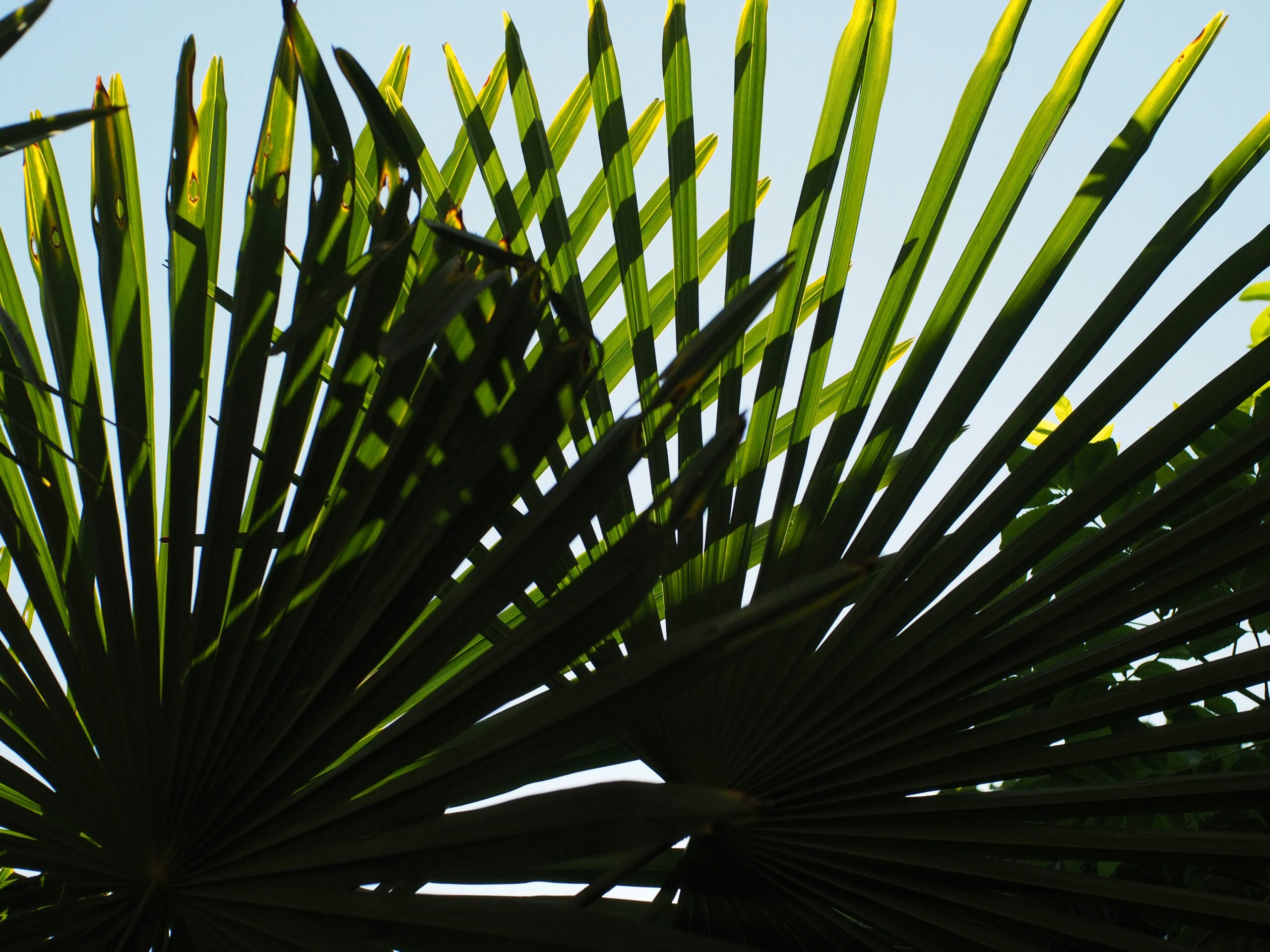 Financial Self-Defense: How a Tampa Divorce Lawyer Protects Your Assets from a Narcissist