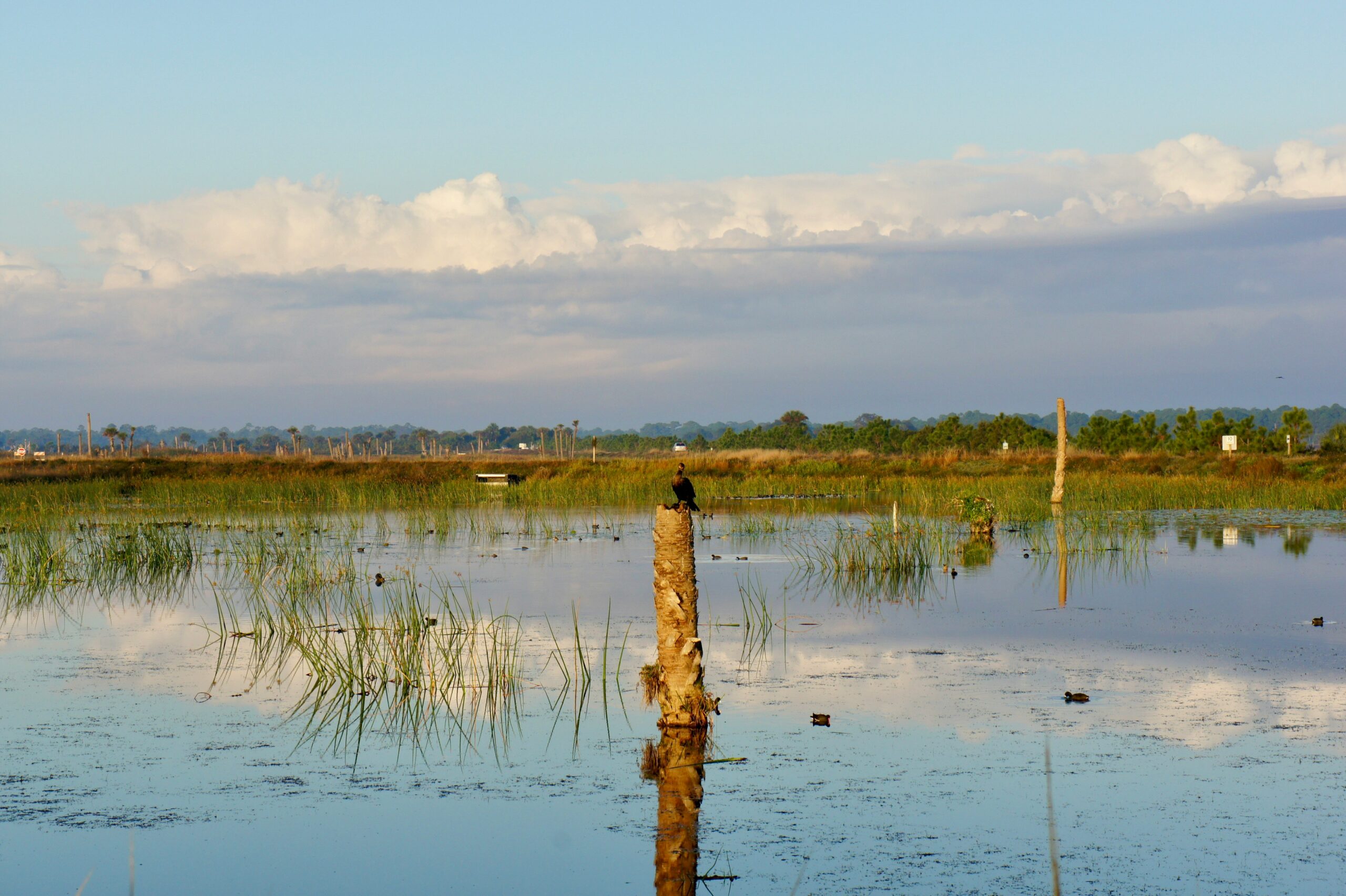 Criminal Contempt & Fees: A Tampa Divorce Lawyer on the Robilotta Case