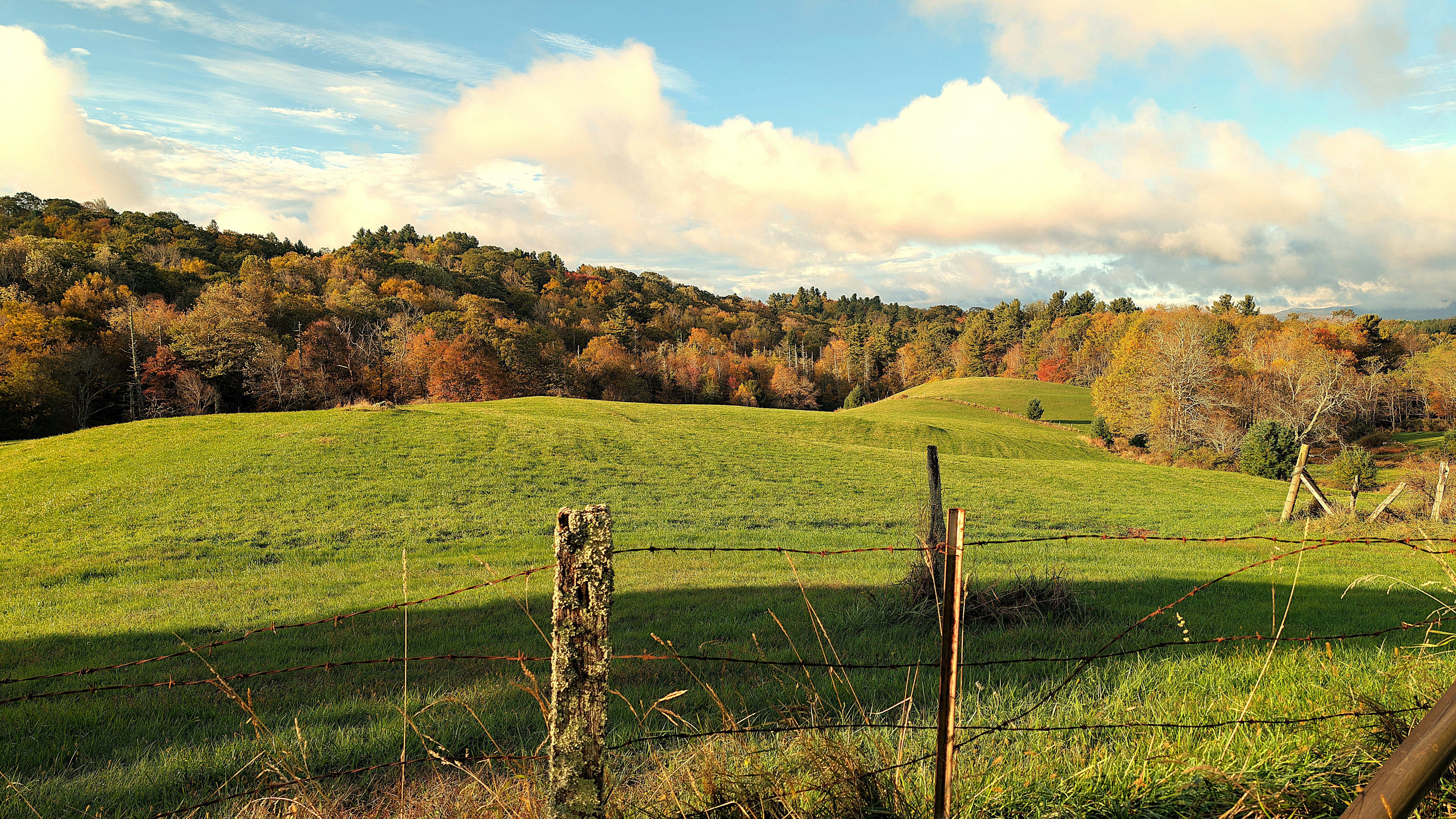 The Real Cost of Divorce in Buncombe County: Contested vs. Uncontested
